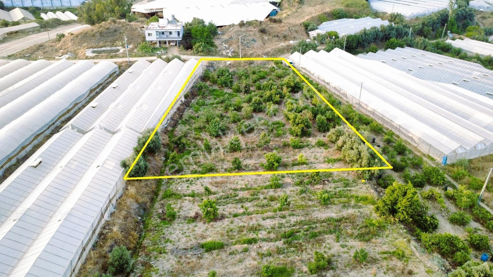 Payallarda Satılık 1.037 M2 İmarlı Arsa — fotoğraf 14