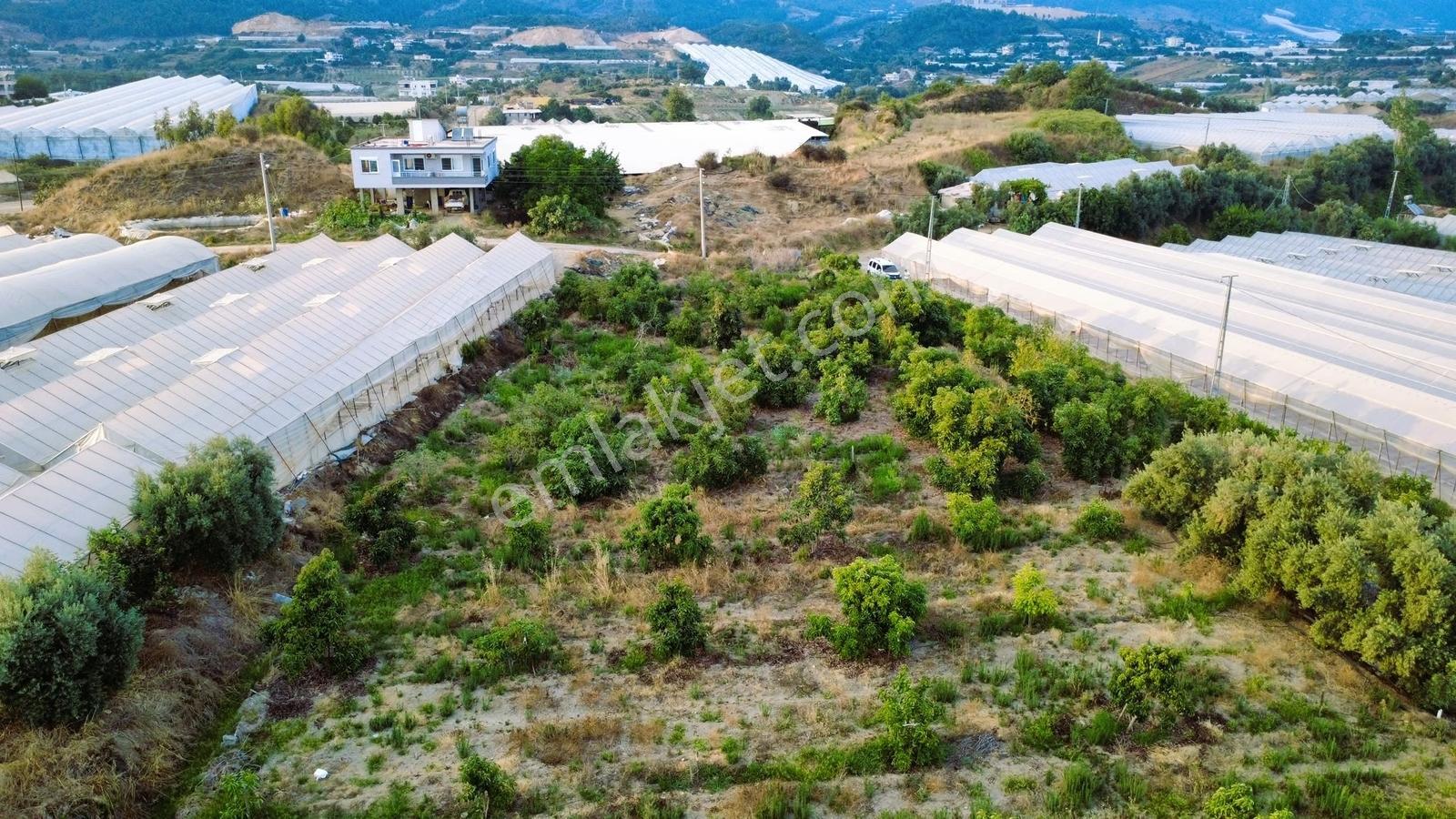 Payallarda Satılık 1.037 M2 İmarlı Arsa — fotoğraf 15