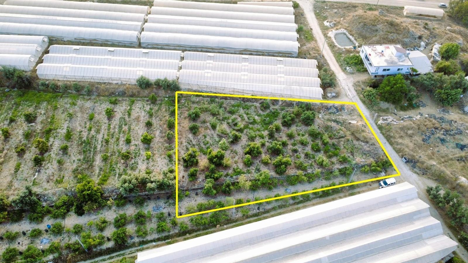 Payallarda Satılık 1.037 M2 İmarlı Arsa — fotoğraf 16