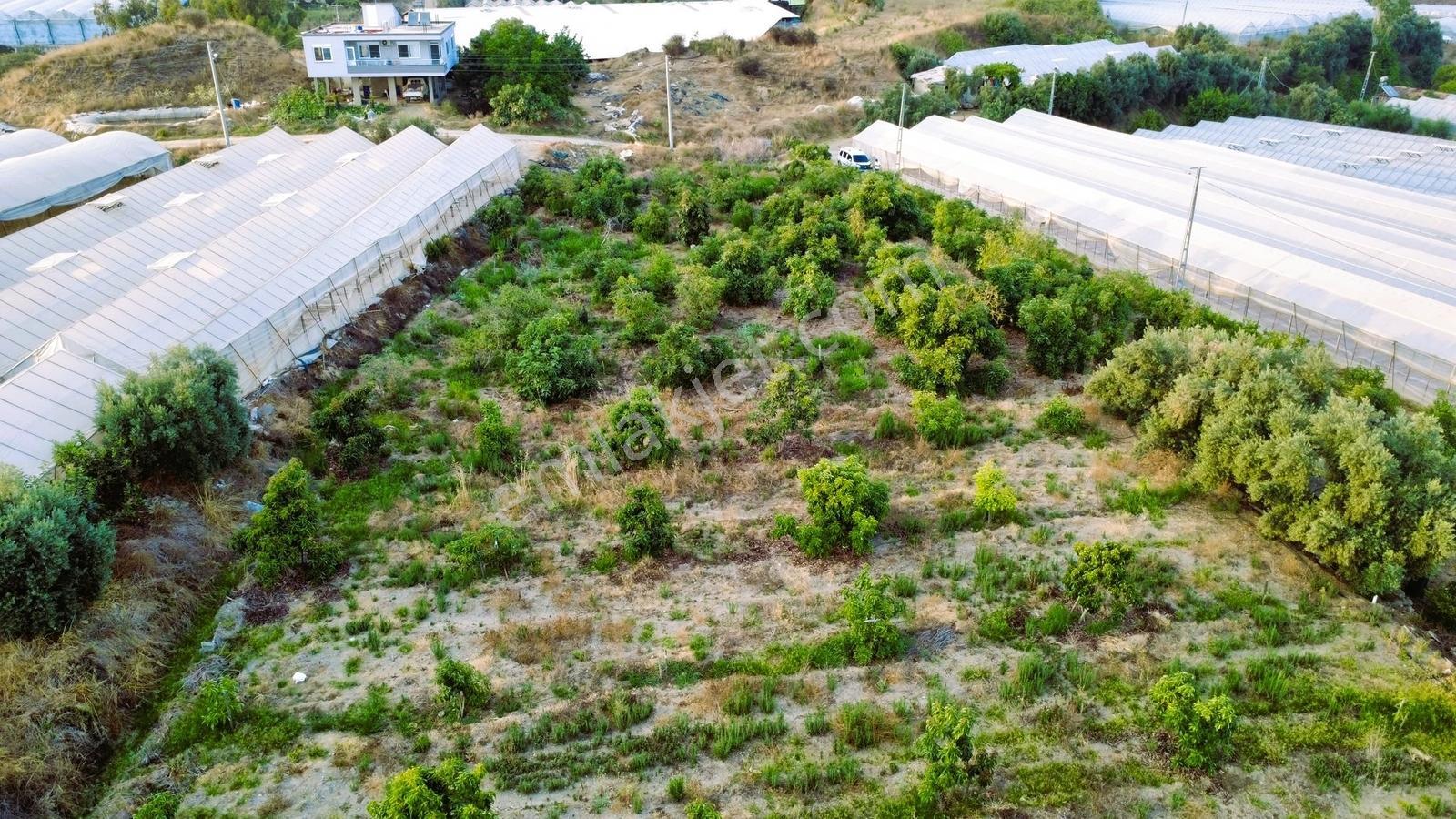Payallarda Satılık 1.037 M2 İmarlı Arsa — fotoğraf 17