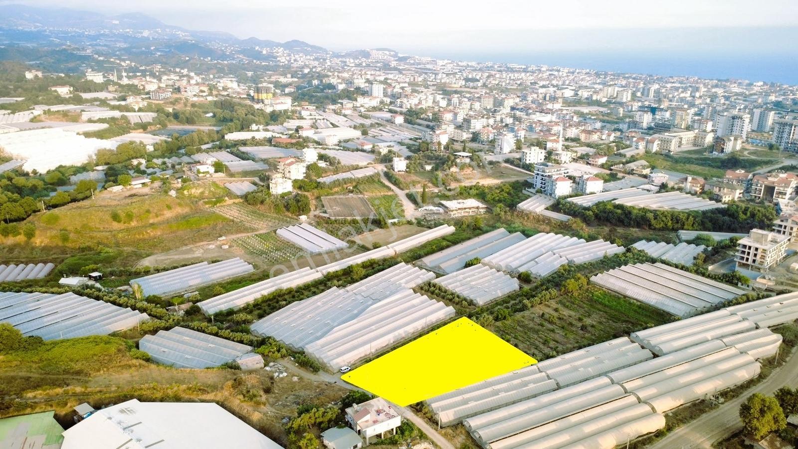 Payallarda Satılık 1.037 M2 İmarlı Arsa — fotoğraf 18