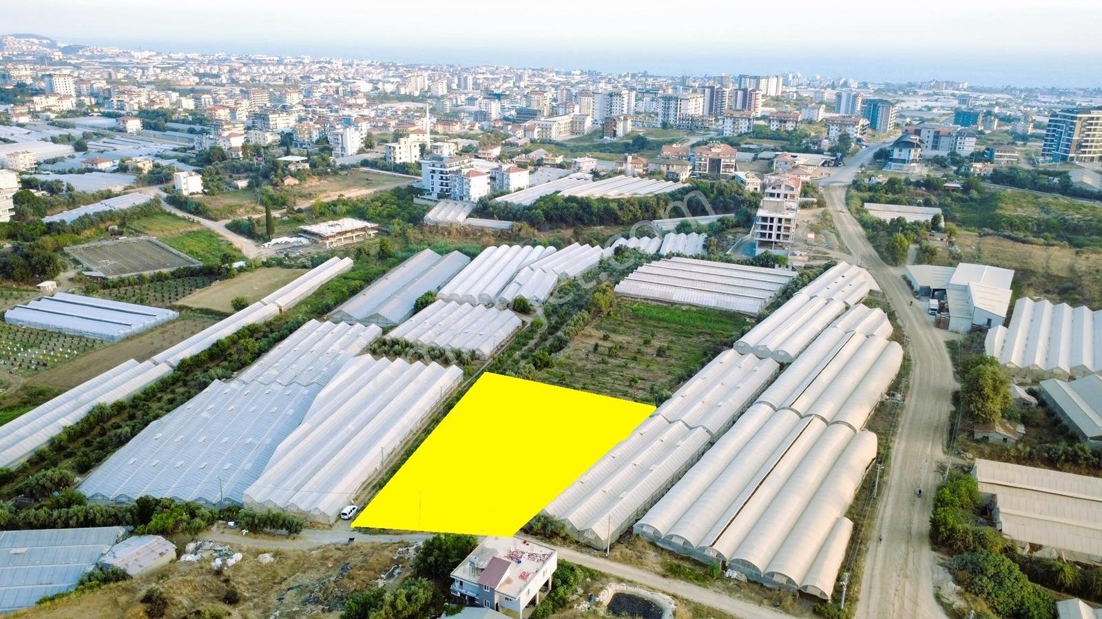 Payallarda Satılık 1.037 M2 İmarlı Arsa — fotoğraf 20