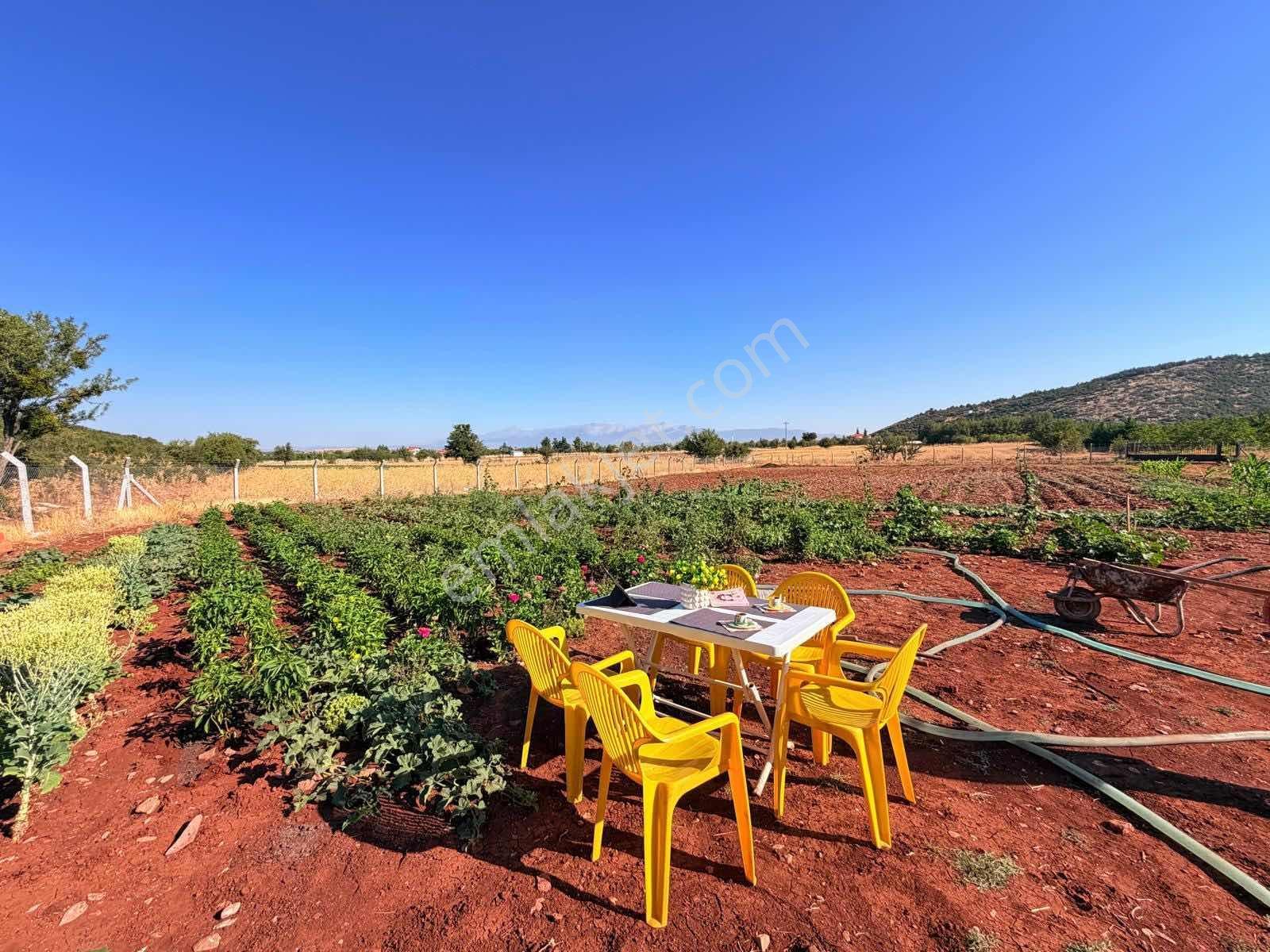 Tavas Garipköy'de İçerisnde Ev Olan 3.300 M2 Tarlamız — fotoğraf 2