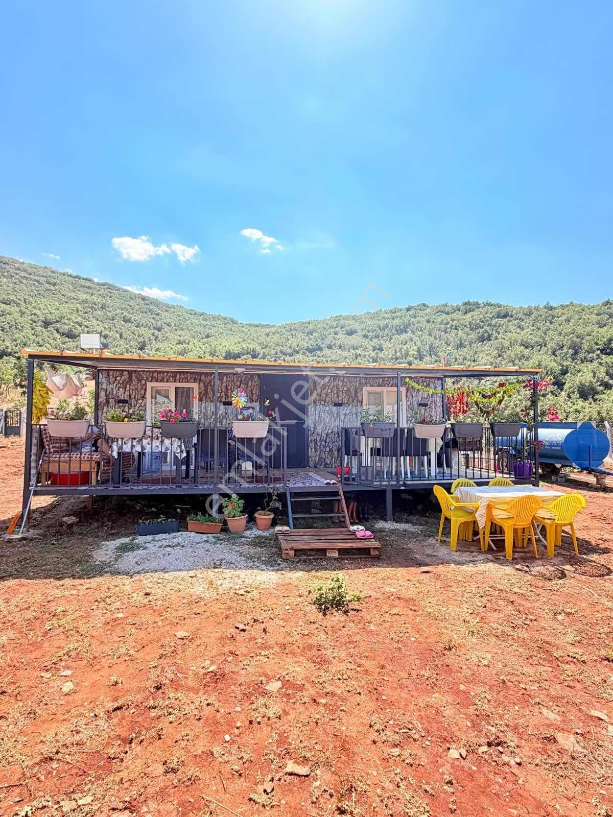 Tavas Garipköy'de İçerisnde Ev Olan 3.300 M2 Tarlamız — fotoğraf 3