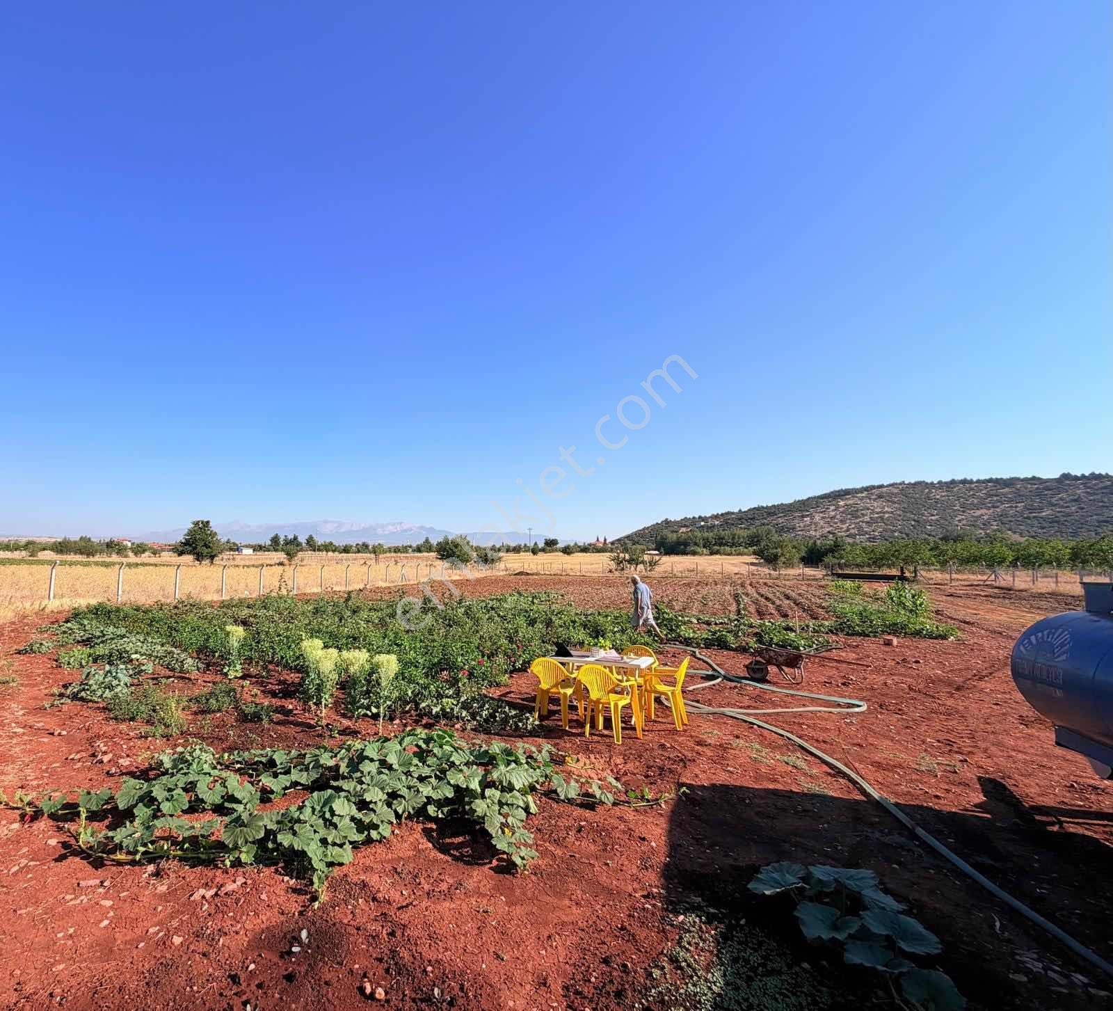 Tavas Garipköy'de İçerisnde Ev Olan 3.300 M2 Tarlamız — fotoğraf 6