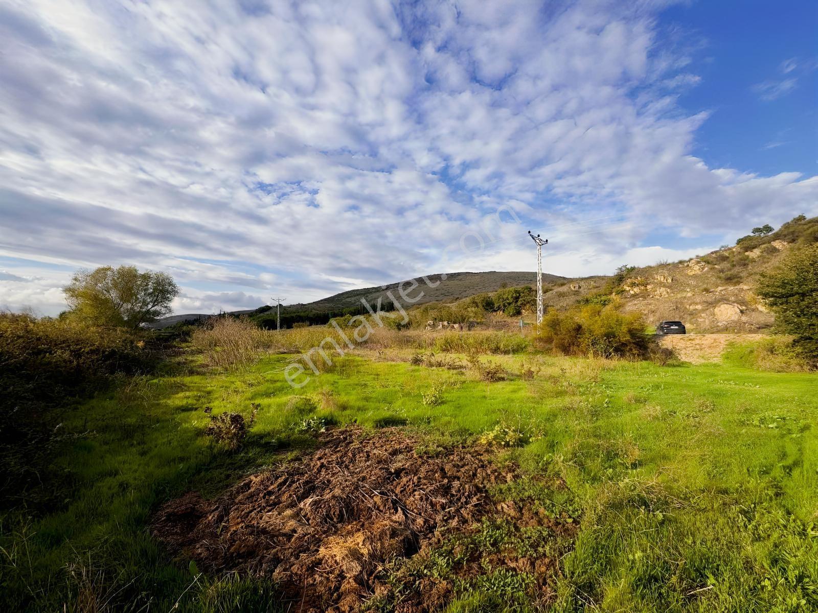 Bursadabul'dan Güllüce Mah.ana Asfalta Cephe 1.754m2 Tarla — fotoğraf 4