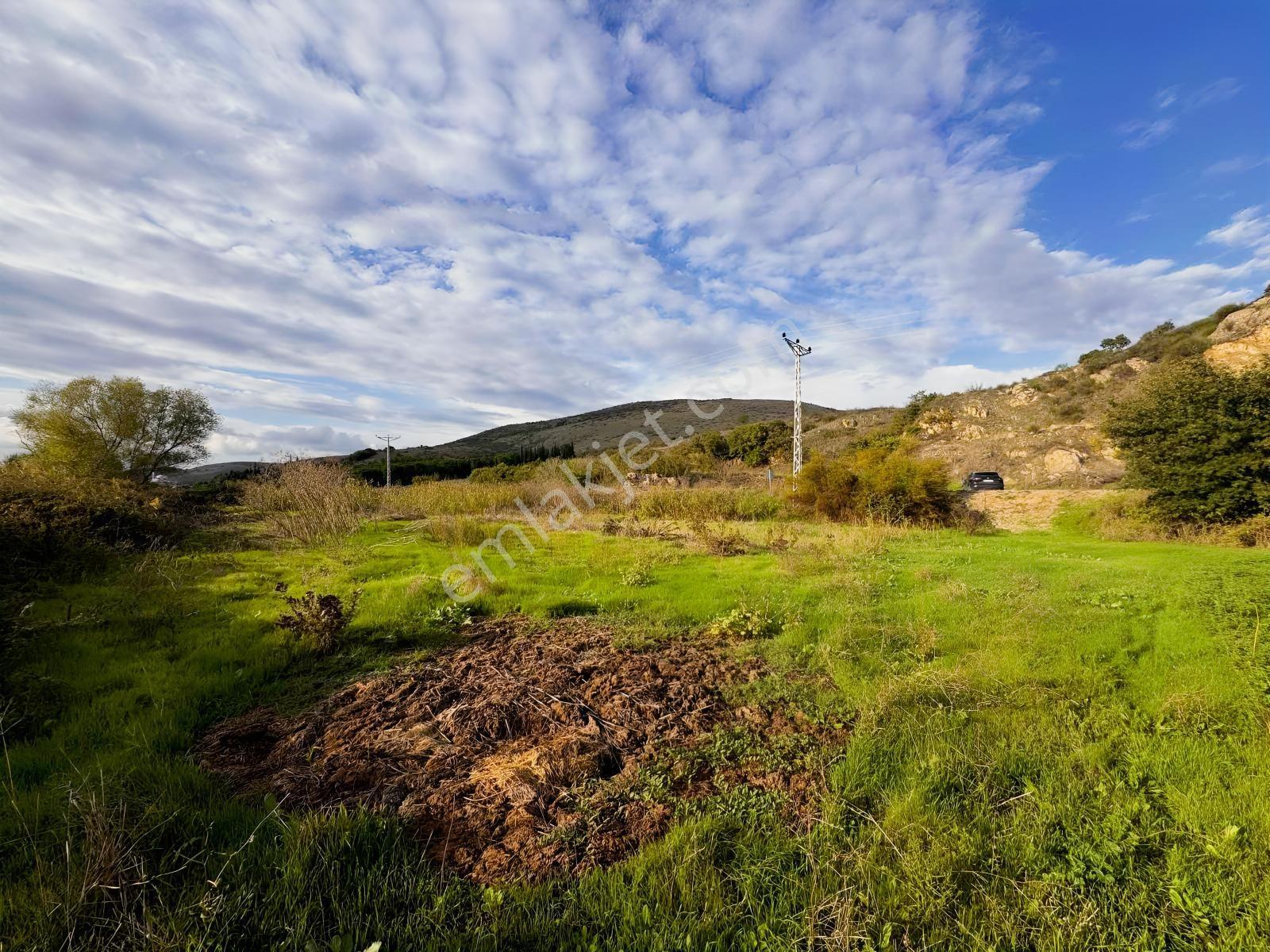 Bursadabul'dan Güllüce Mah.ana Asfalta Cephe 1.754m2 Tarla — fotoğraf 13