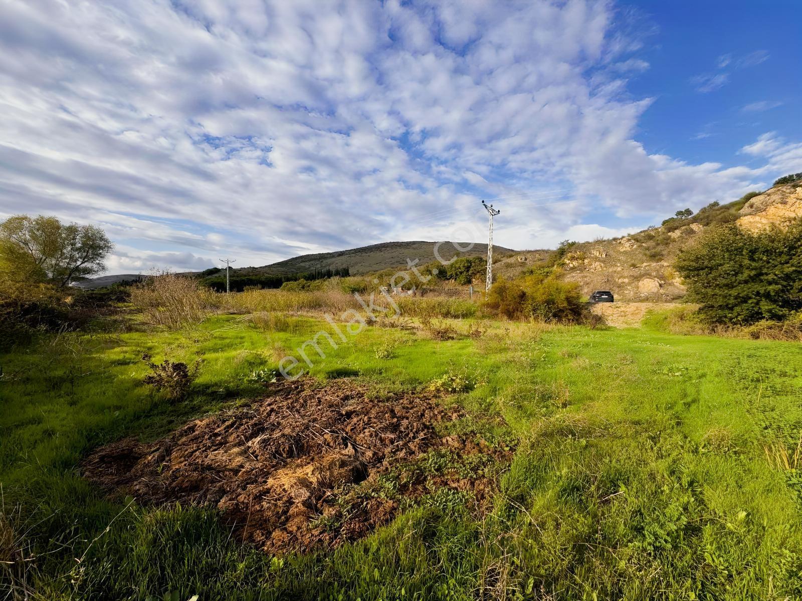 Bursadabul'dan Güllüce Mah.ana Asfalta Cephe 1.754m2 Tarla — fotoğraf 14