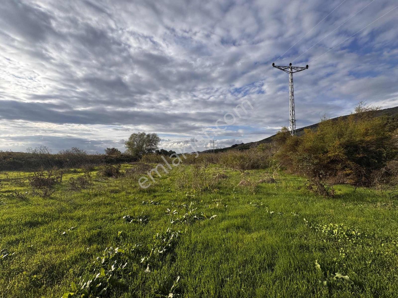 Bursadabul'dan Güllüce Mah.ana Asfalta Cephe 1.754m2 Tarla — fotoğraf 15