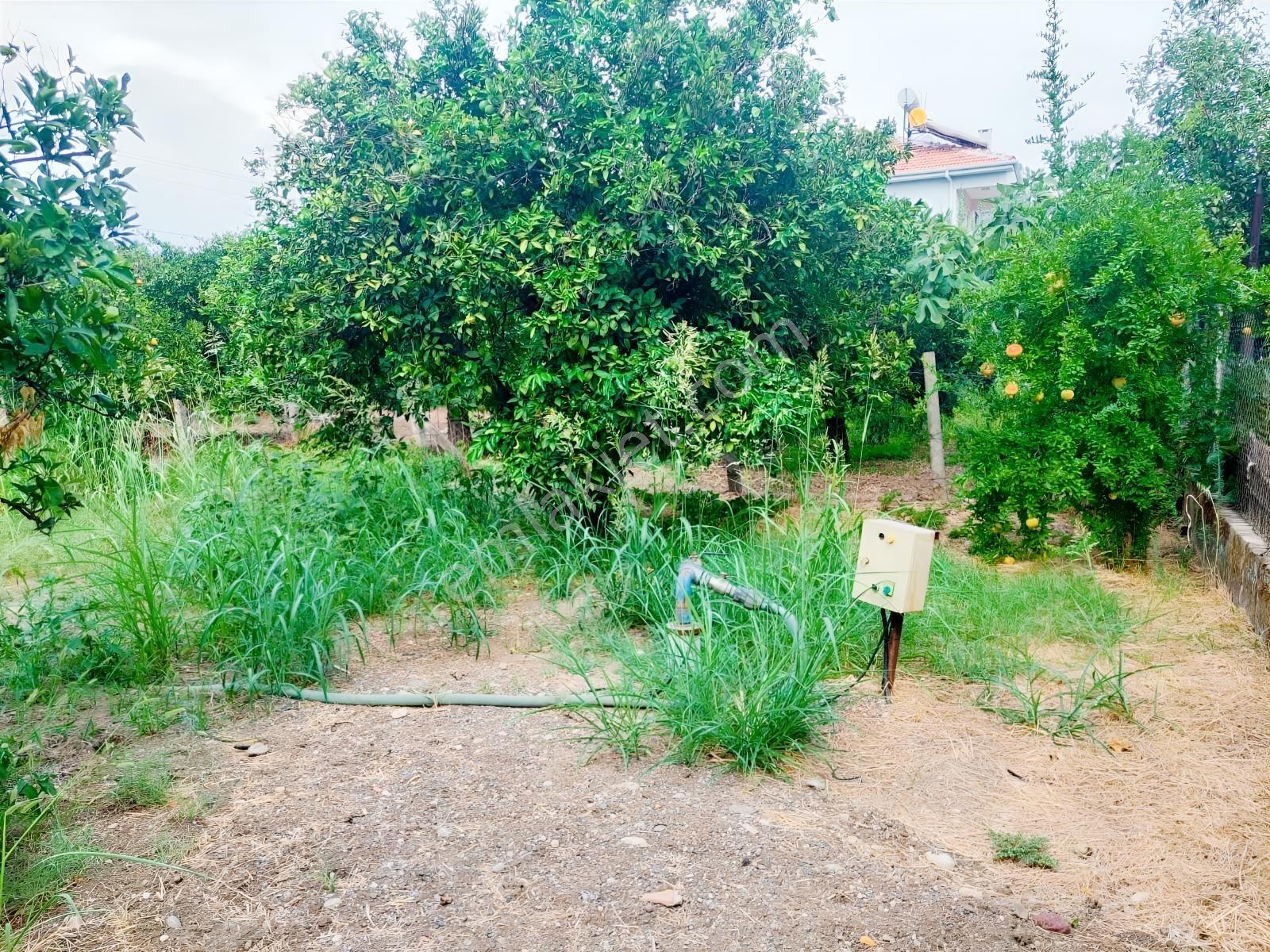 Ortaca Valibahçesinde 443 M² | Kaks 0,60 İmarlı Arsa — fotoğraf 3