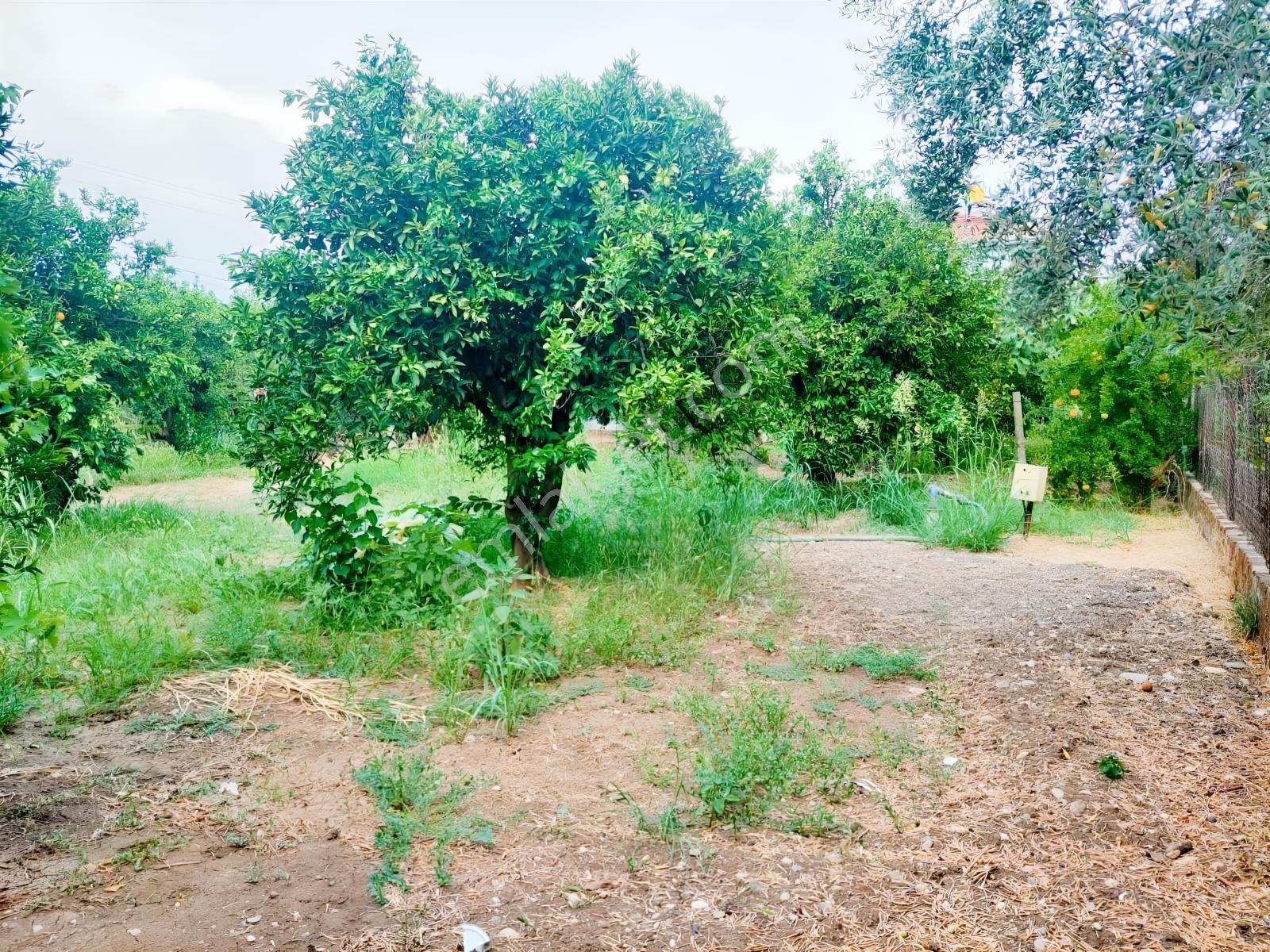 Ortaca Valibahçesinde 443 M² | Kaks 0,60 İmarlı Arsa — fotoğraf 7