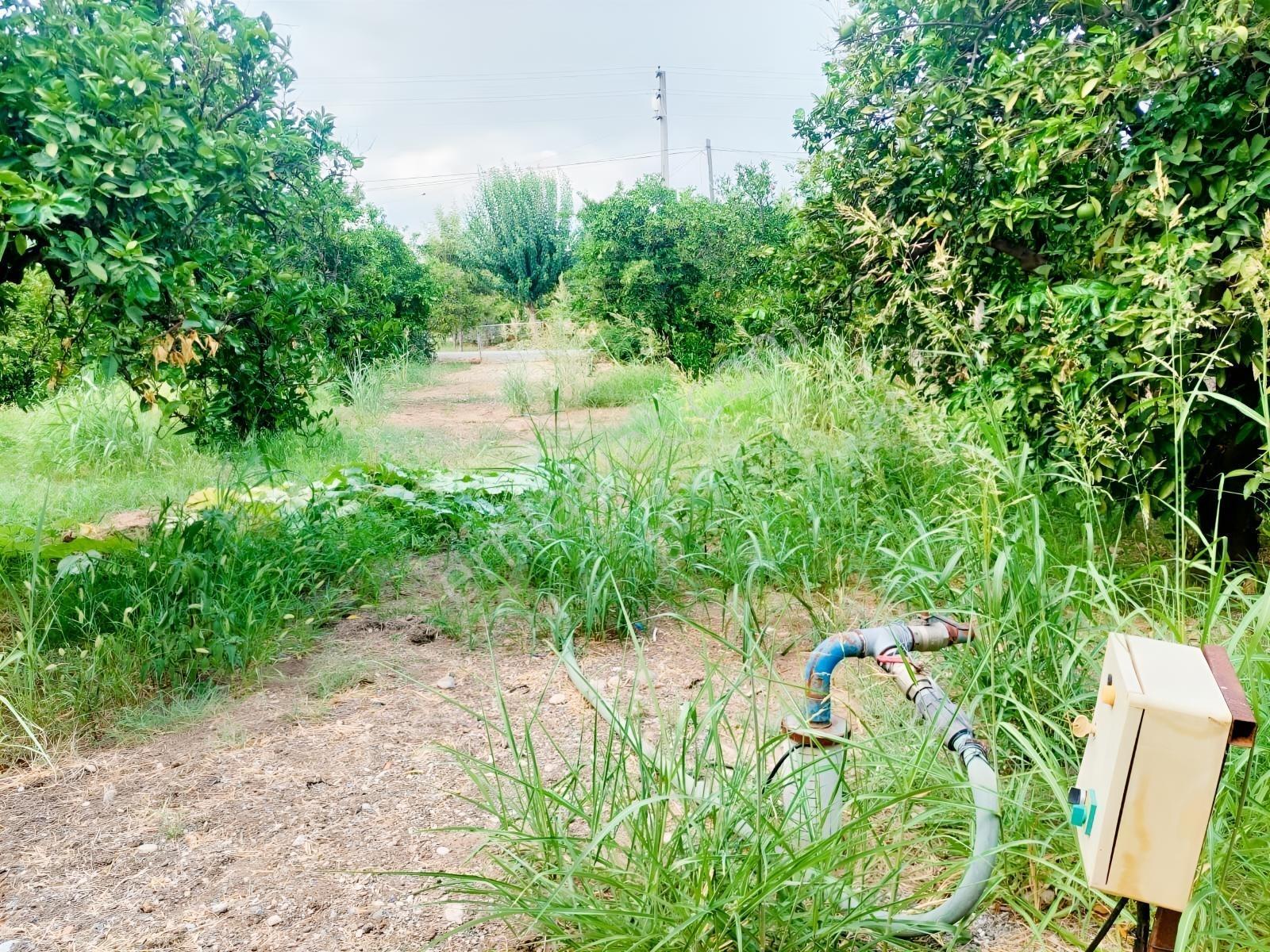 Ortaca Valibahçesinde 443 M² | Kaks 0,60 İmarlı Arsa — fotoğraf 10
