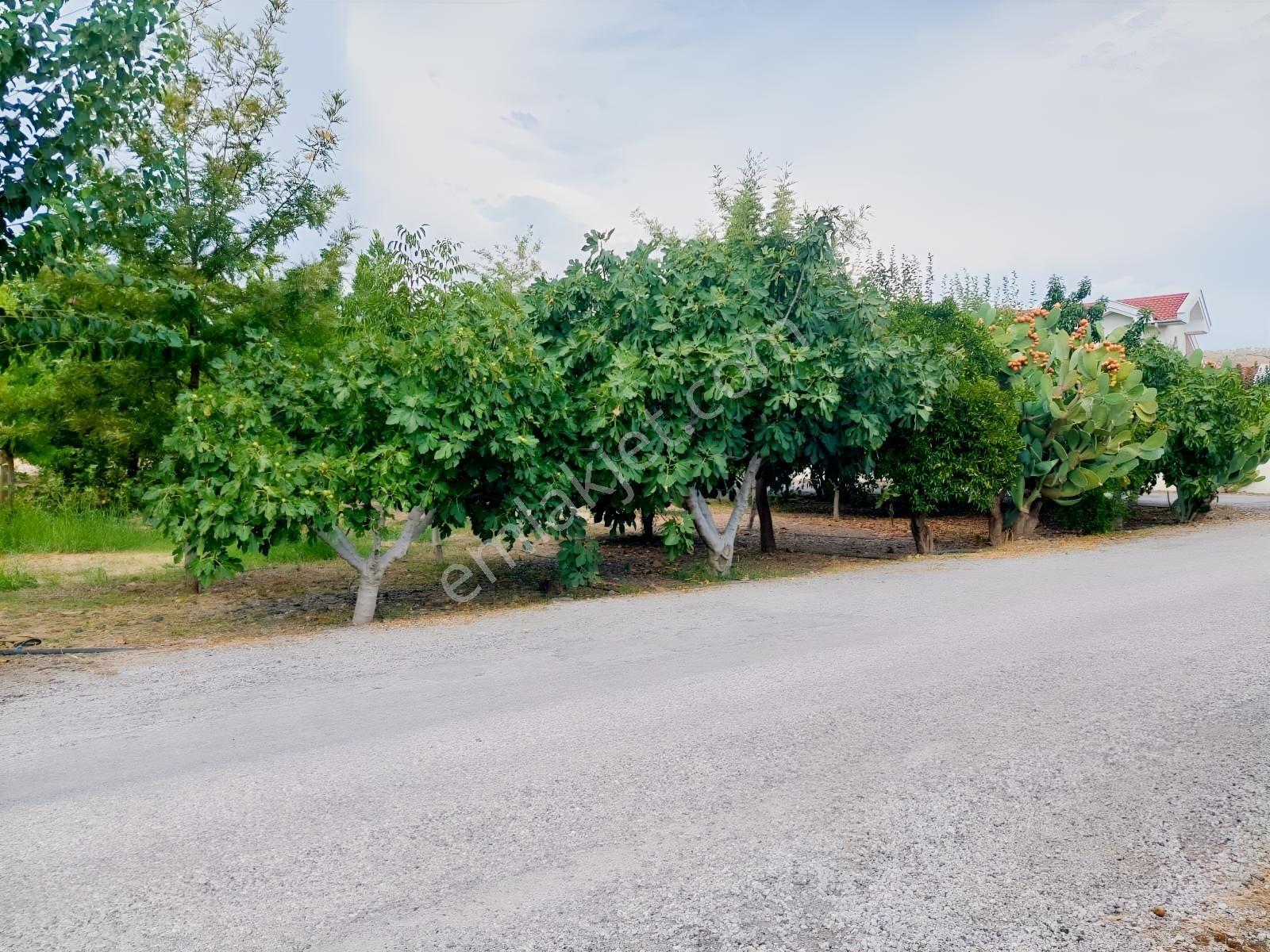 Ortaca Valibahçesinde 443 M² | Kaks 0,60 İmarlı Arsa — fotoğraf 15