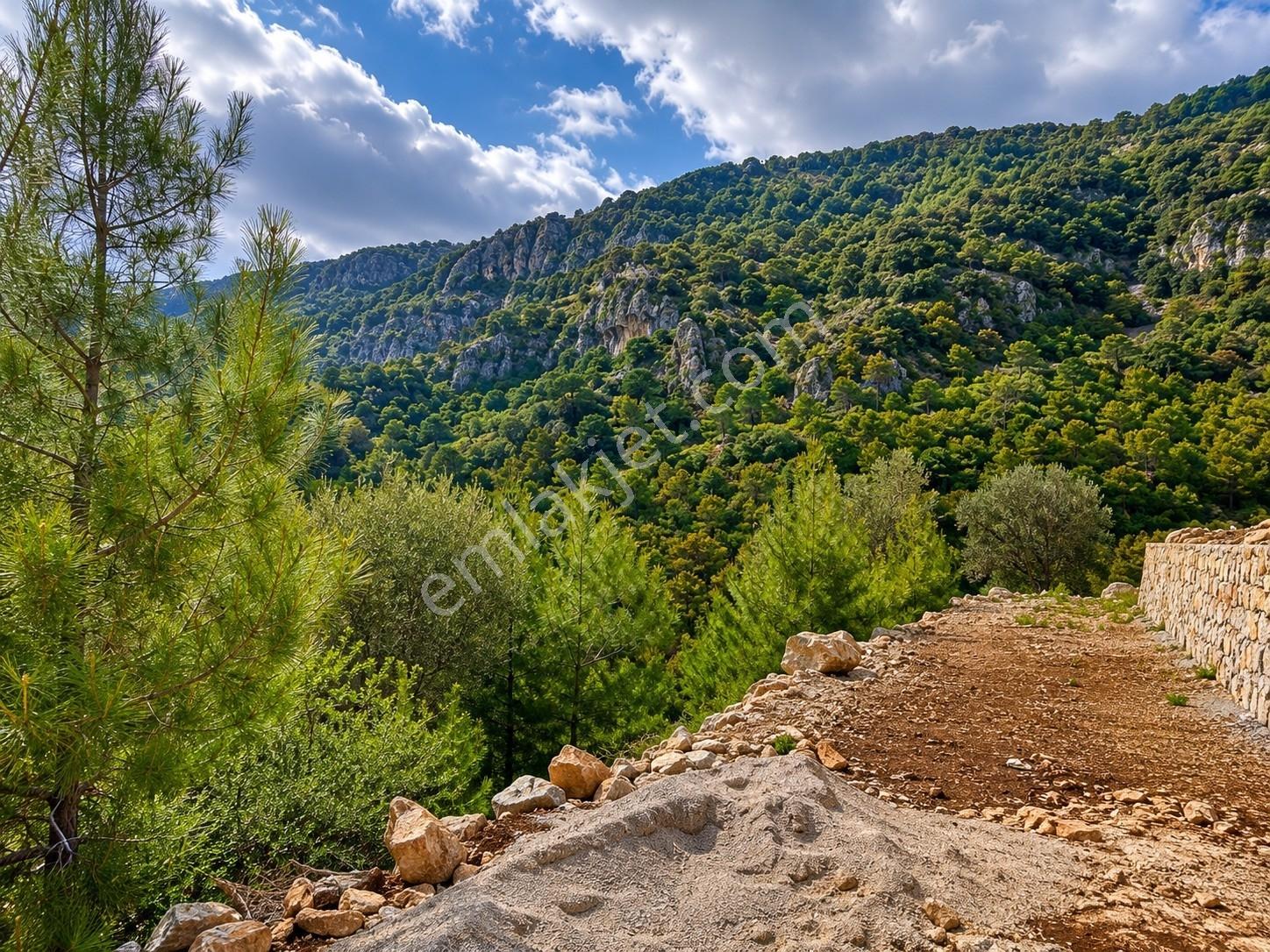 Ayşe Şengün'den Gökçeovacık'ta Deniz Manzaralı Arazi — fotoğraf 5
