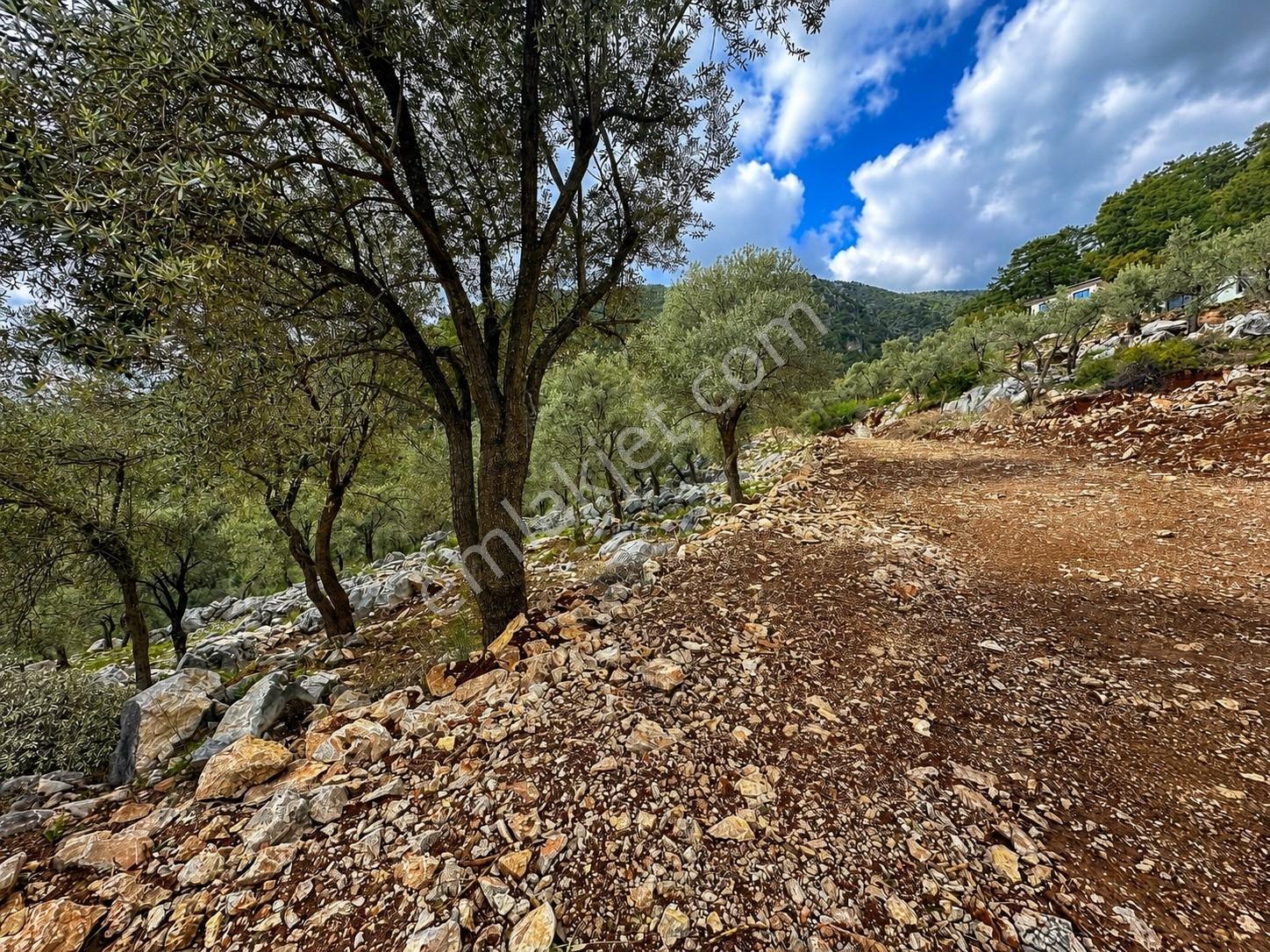 Ayşe Şengün'den Gökçeovacık'ta Deniz Manzaralı Arazi — fotoğraf 10
