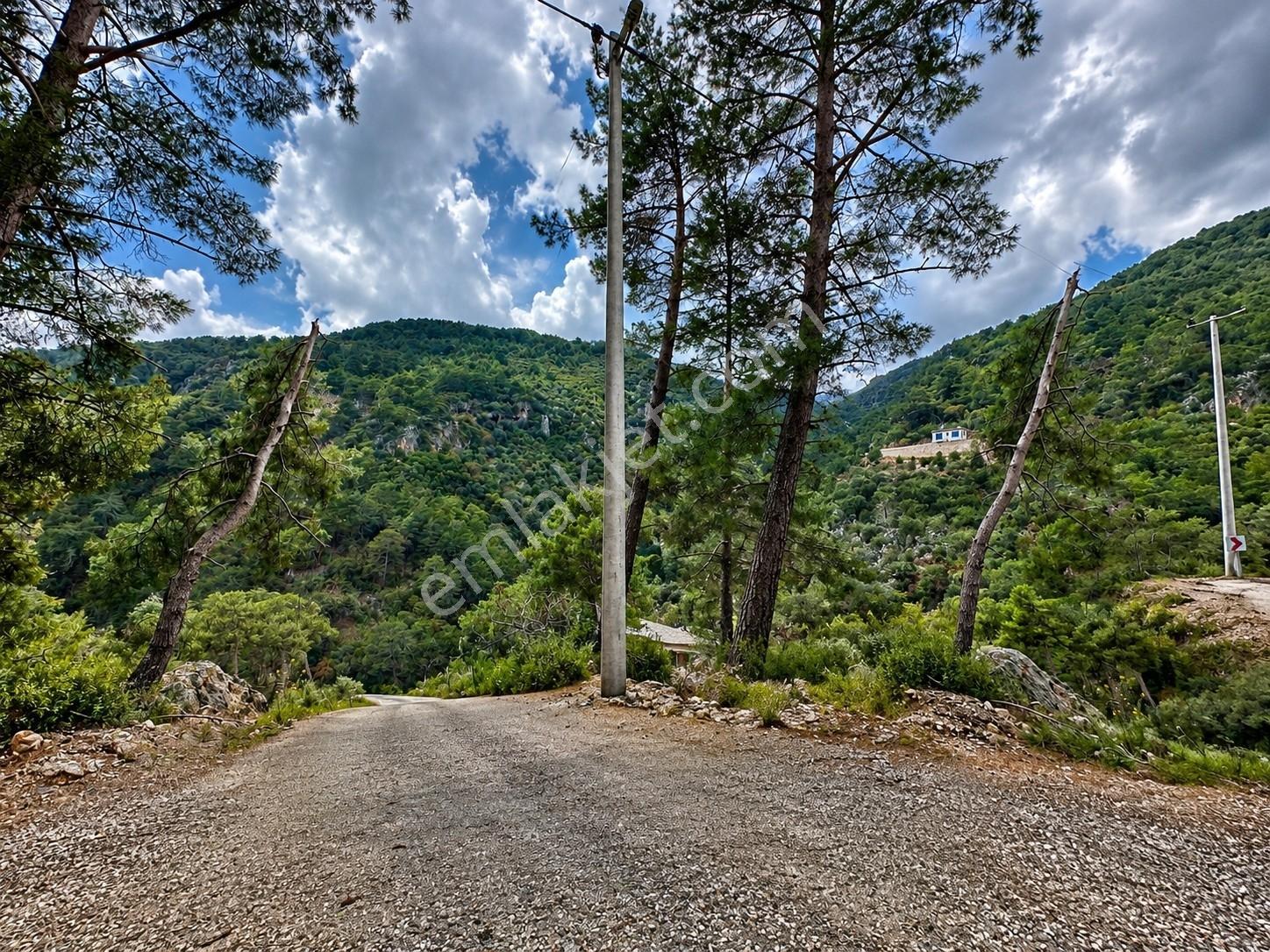 Ayşe Şengün'den Gökçeovacık'ta Deniz Manzaralı Arazi — fotoğraf 12