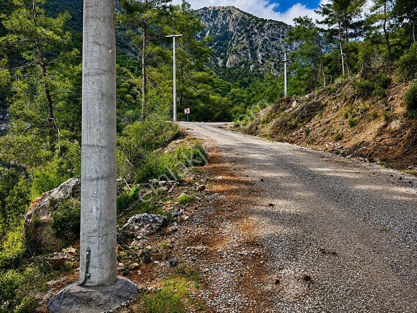 Ayşe Şengün'den Gökçeovacık'ta Deniz Manzaralı Arazi — fotoğraf 13