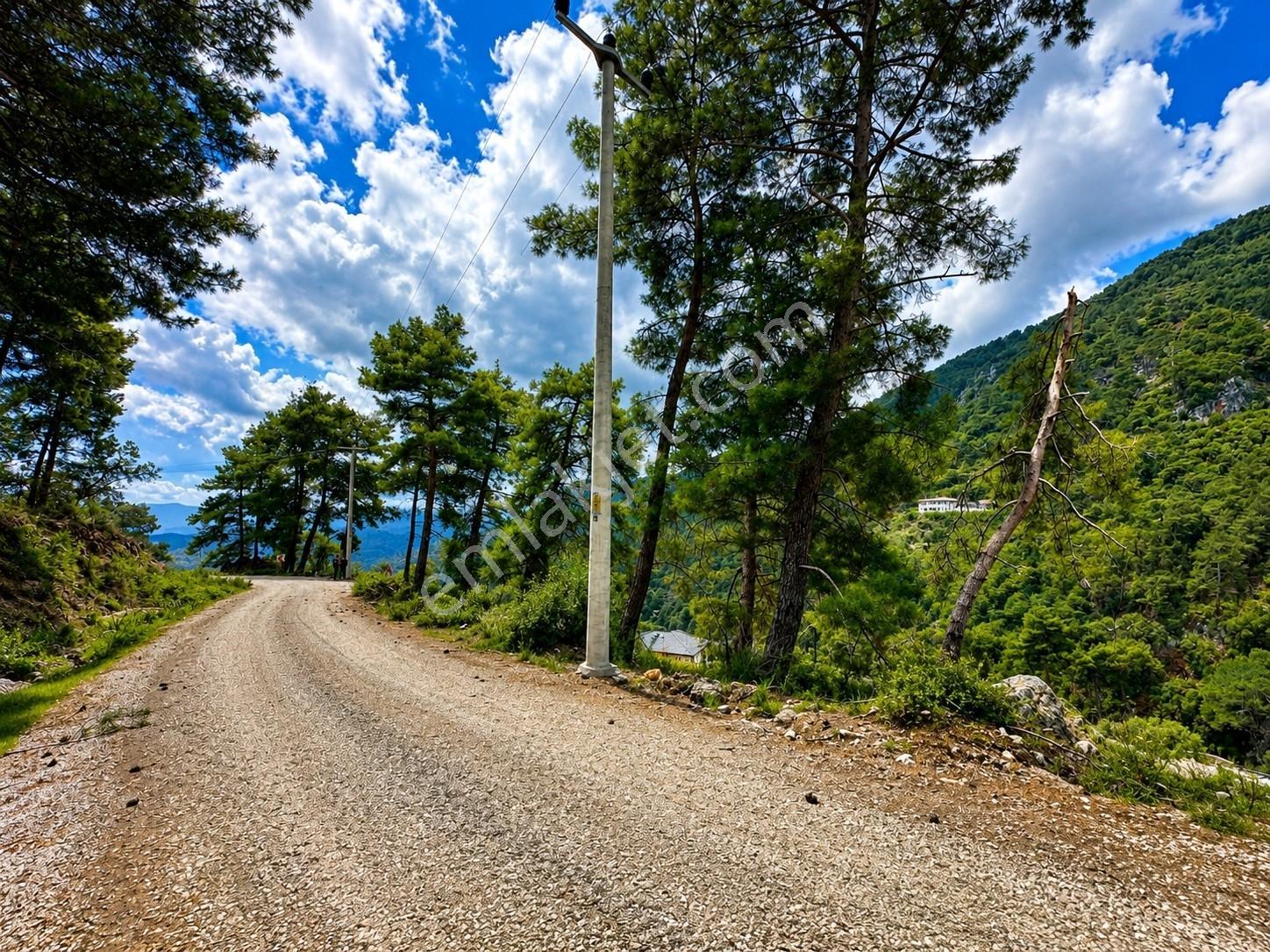 Ayşe Şengün'den Gökçeovacık'ta Deniz Manzaralı Arazi — fotoğraf 14