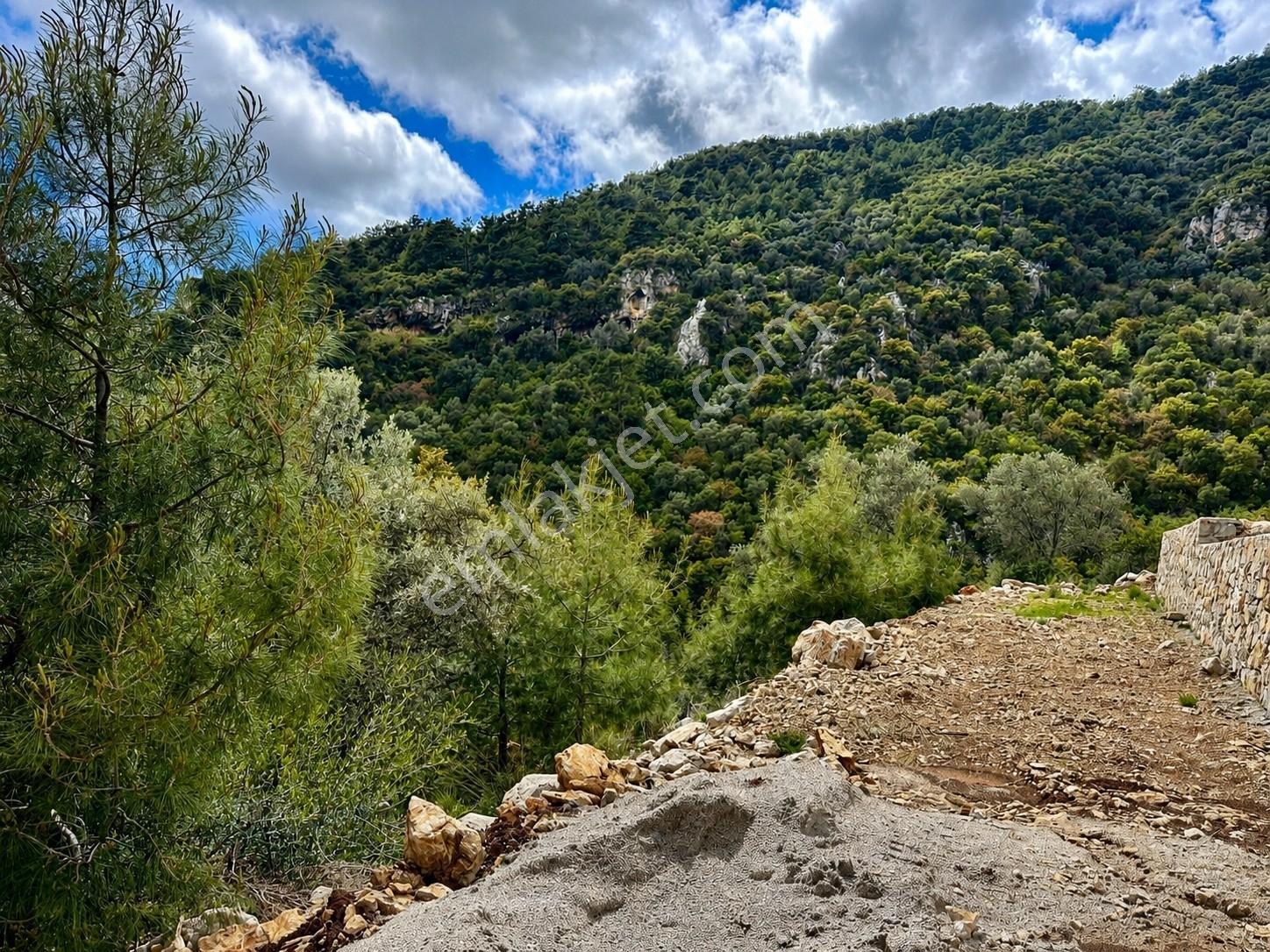 Ayşe Şengün'den Gökçeovacık'ta Deniz Manzaralı Arazi — fotoğraf 15