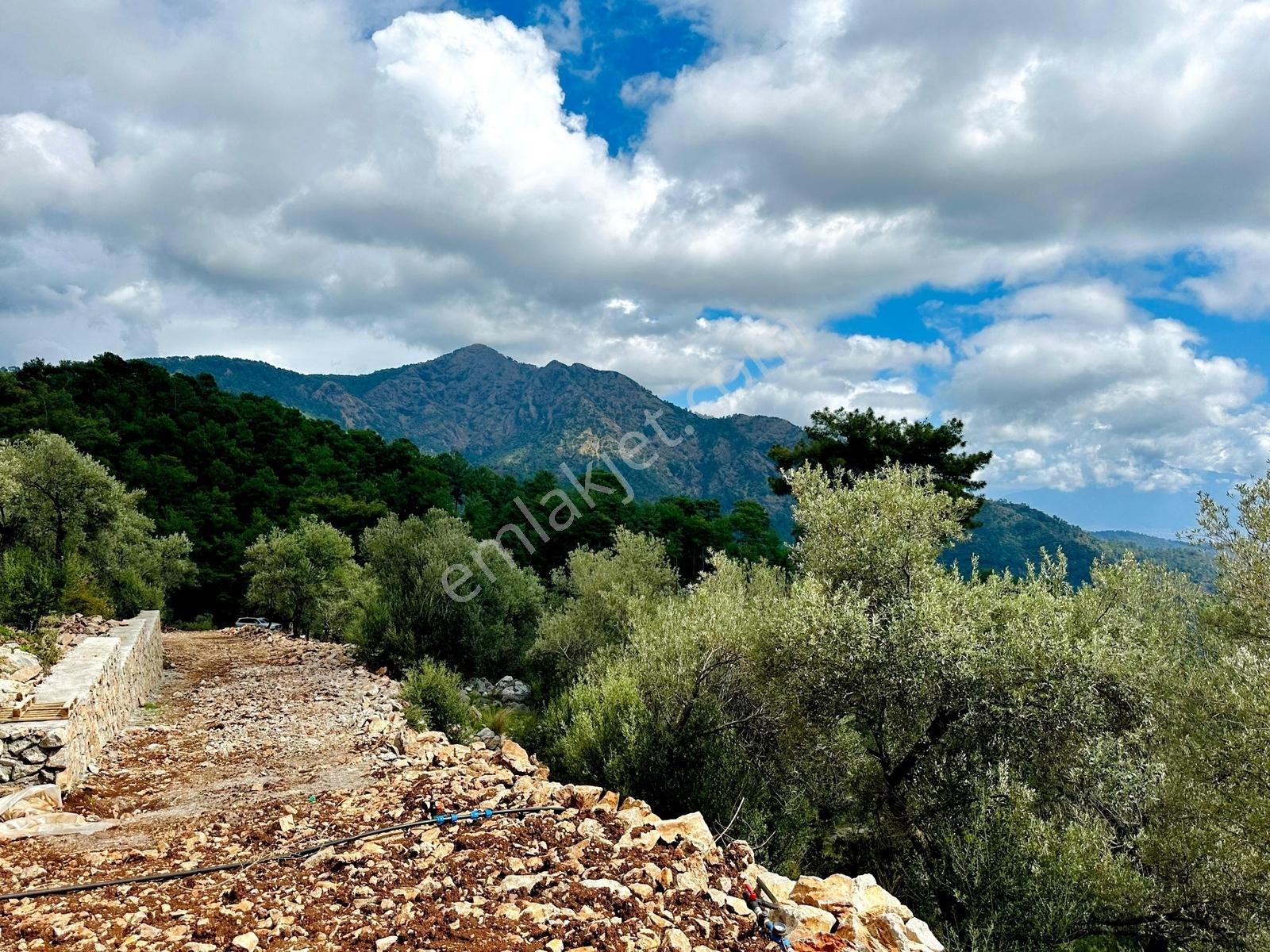 Ayşe Şengün'den Gökçeovacık'ta Deniz Manzaralı Arazi — fotoğraf 17