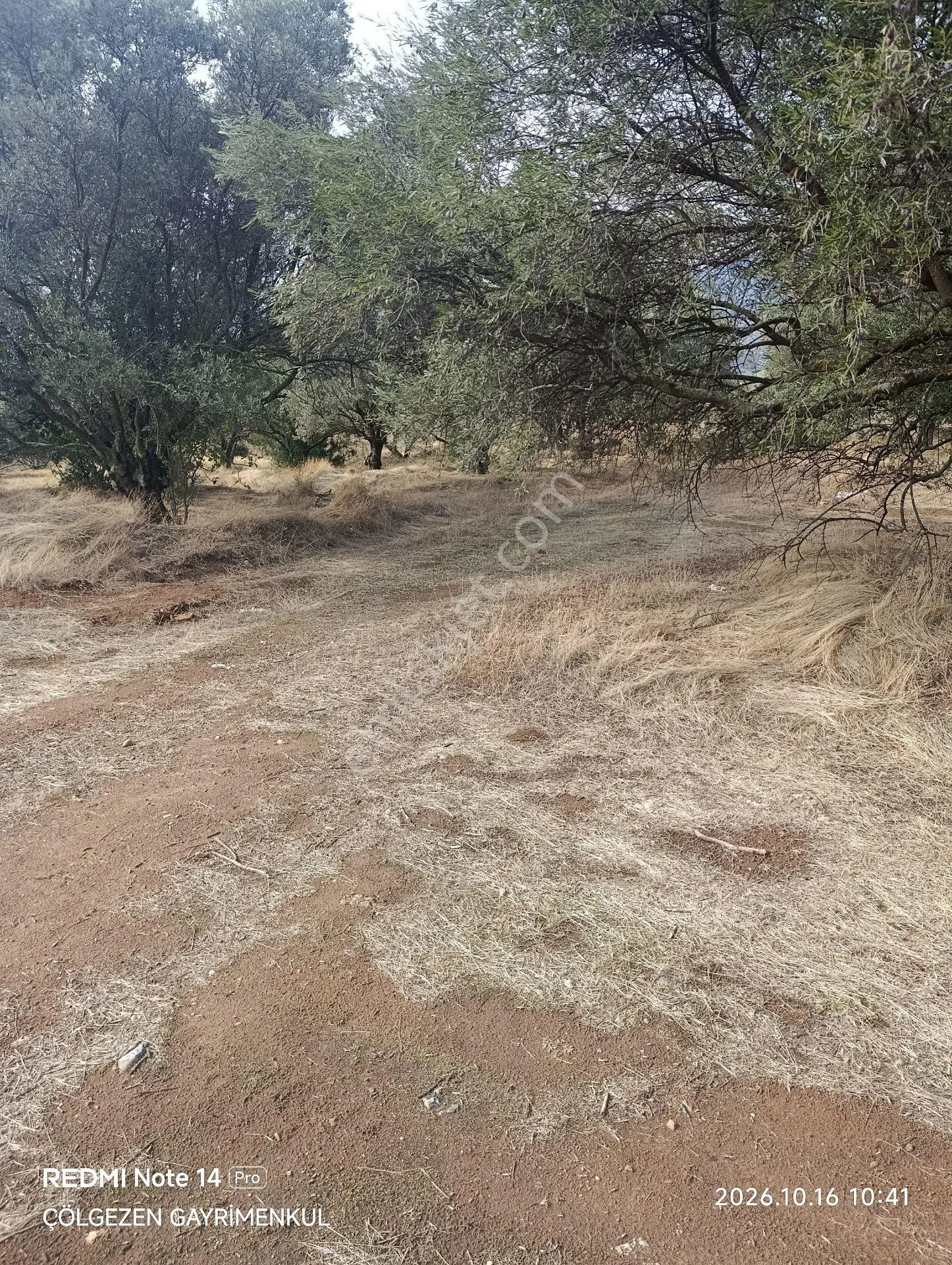 Çölgezen Emlakdan Satılık Fırsat Arsa — fotoğraf 8