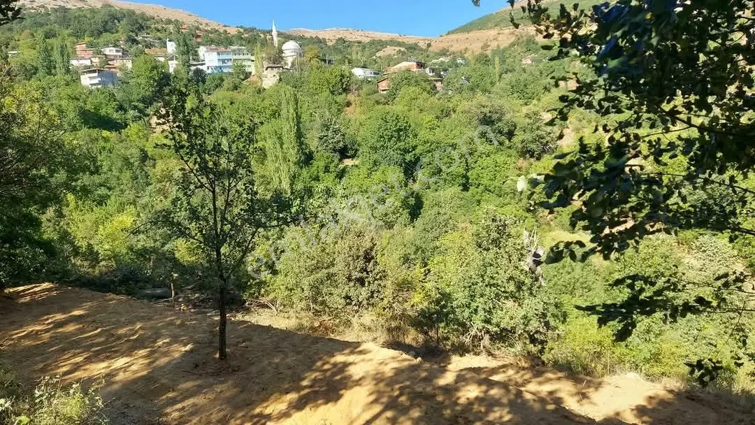 Cb Başrol Gemlik Şahinyurdu 175 M2 Satılık Bahçe