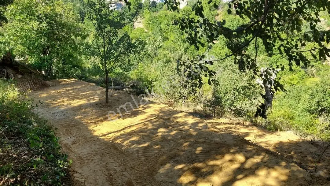 Cb Başrol Gemlik Şahinyurdu 175 M2 Satılık Bahçe — fotoğraf 2