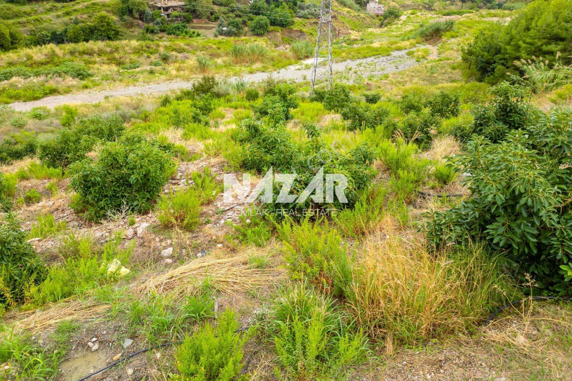 Alanya Tepe’de 1.000 M2 Deniz Manzaralı İmarlı Arsa — fotoğraf 15