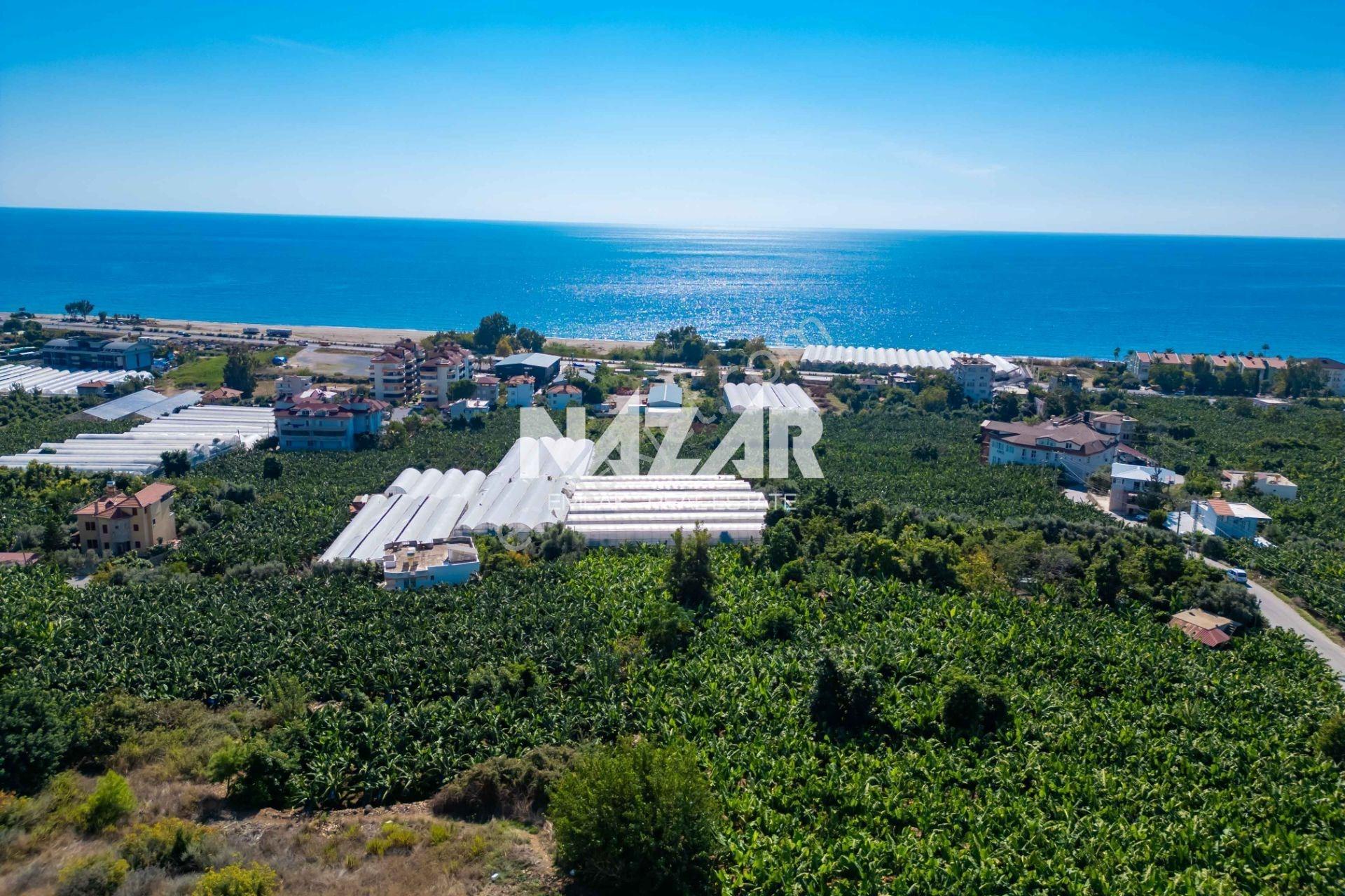 Alanya İshaklı’Da 1.665 M2 Deniz Manzaralı Tarla