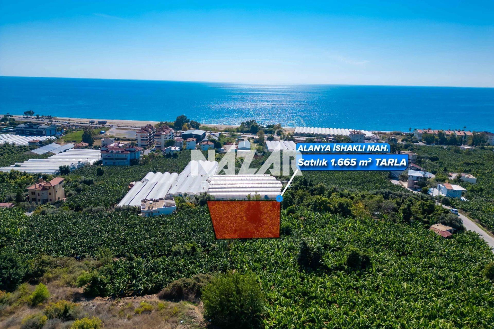Alanya İshaklı’da 1.665 M2 Deniz Manzaralı Tarla — fotoğraf 2