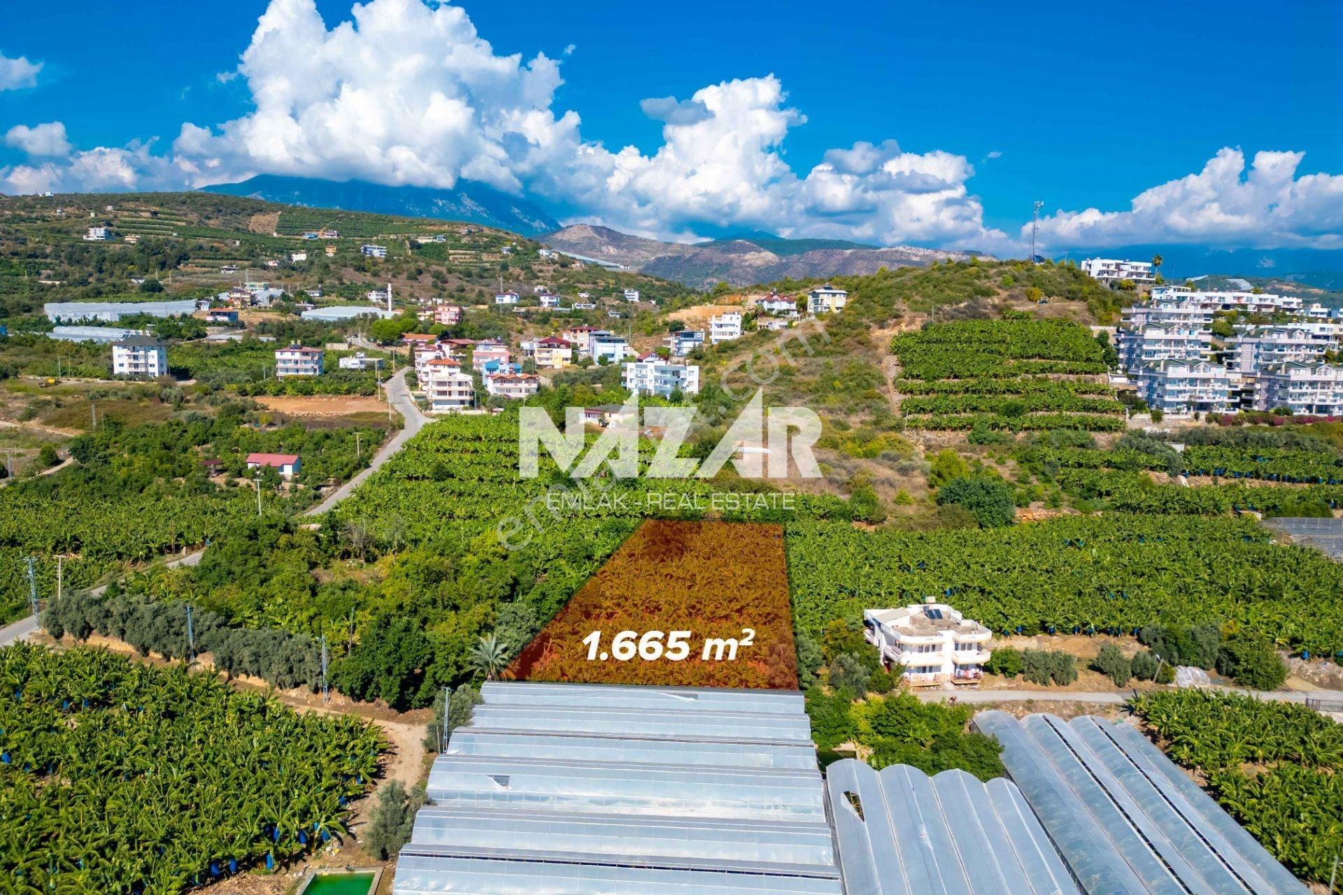 Alanya İshaklı’da 1.665 M2 Deniz Manzaralı Tarla — fotoğraf 3