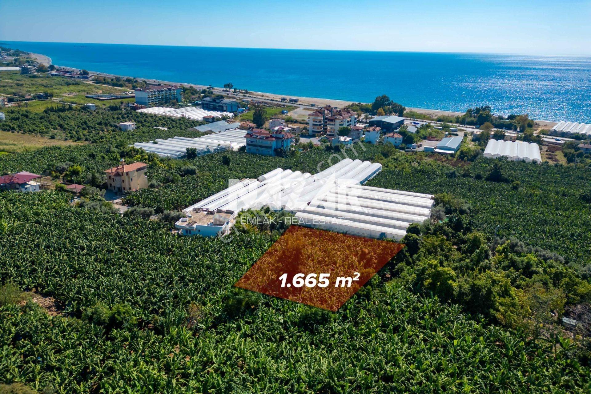 Alanya İshaklı’da 1.665 M2 Deniz Manzaralı Tarla — fotoğraf 4