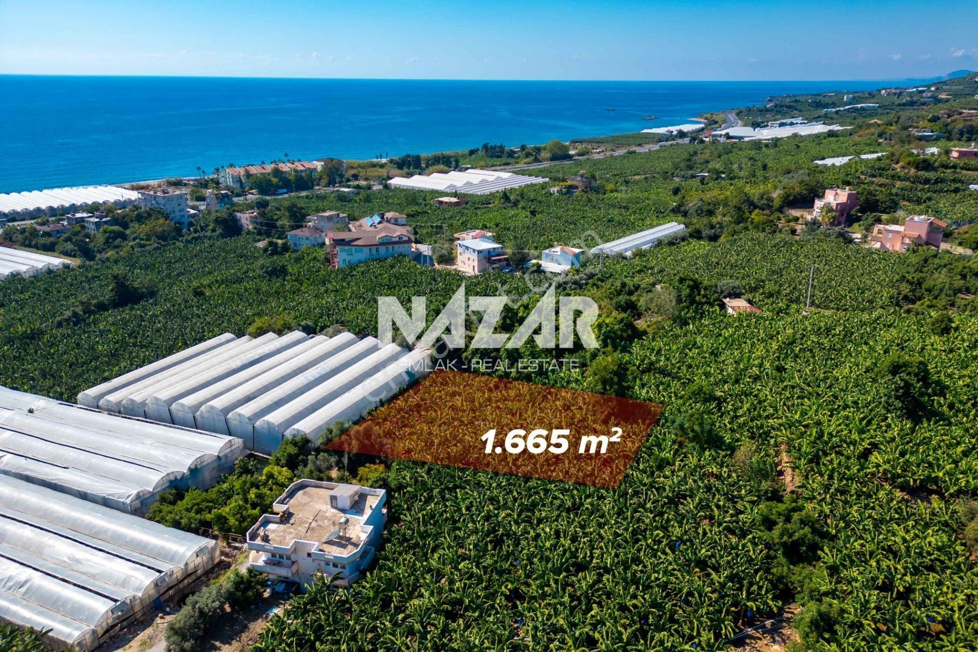 Alanya İshaklı’da 1.665 M2 Deniz Manzaralı Tarla — fotoğraf 5