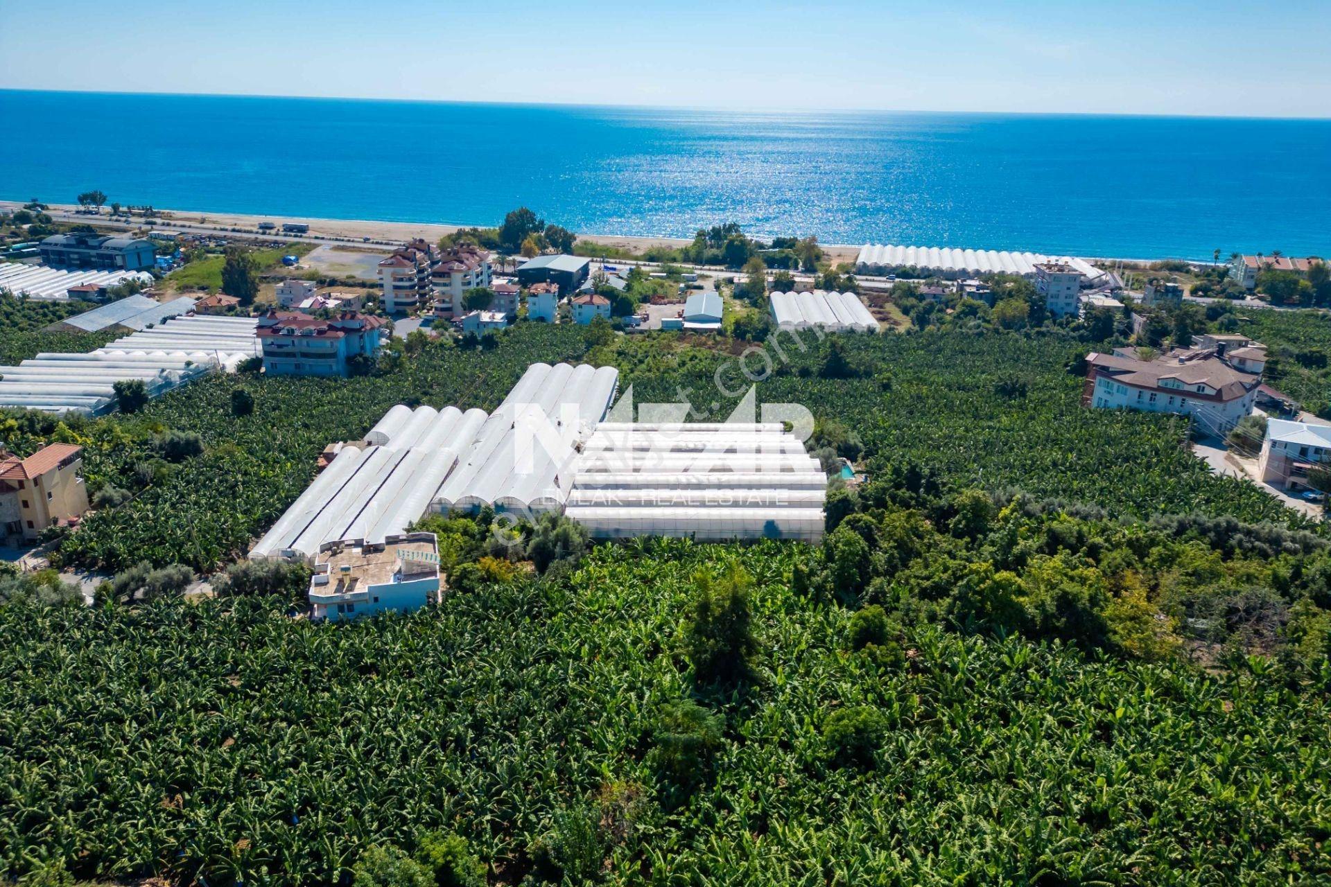 Alanya İshaklı’da 1.665 M2 Deniz Manzaralı Tarla — fotoğraf 8