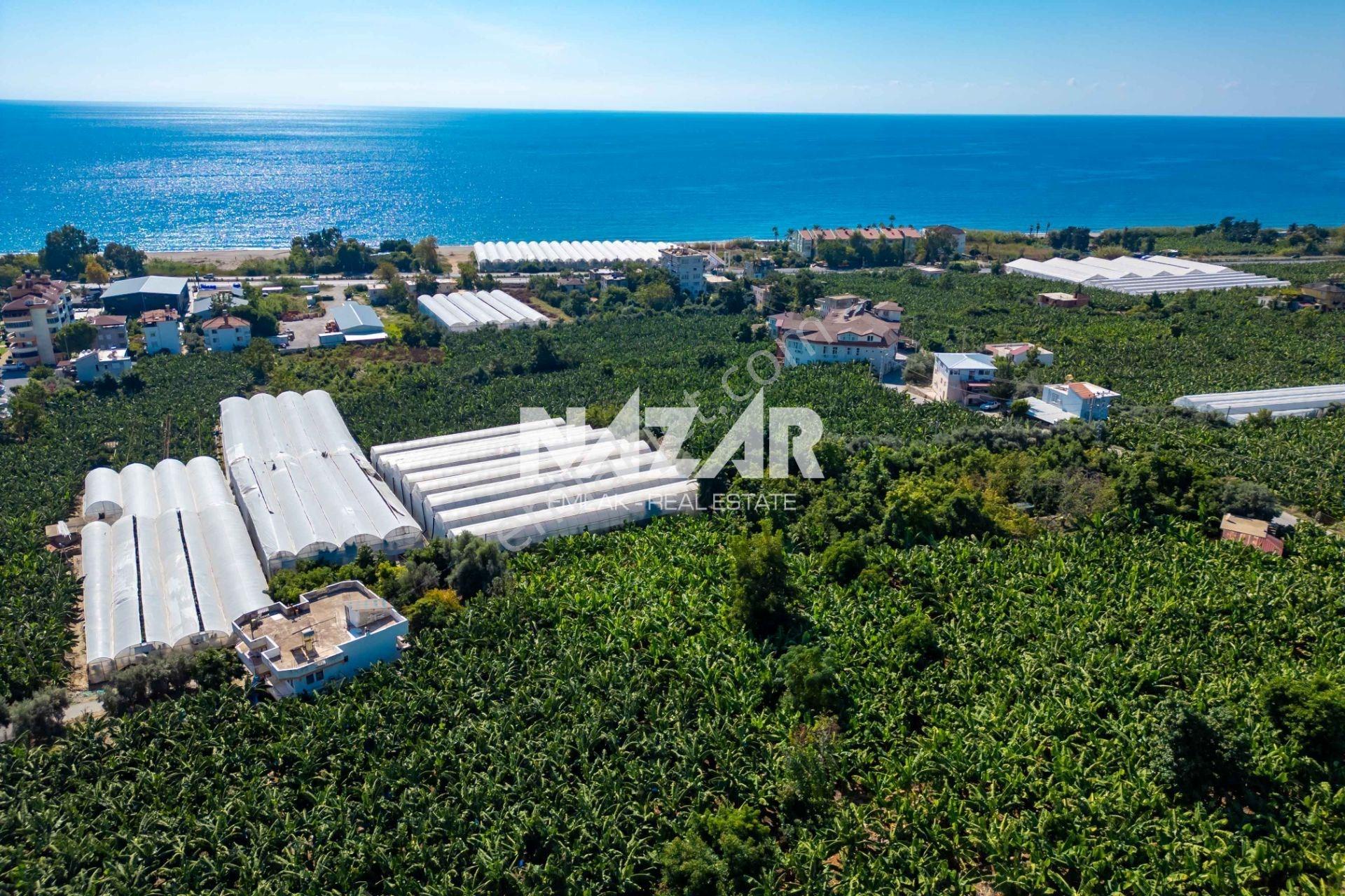 Alanya İshaklı’da 1.665 M2 Deniz Manzaralı Tarla — fotoğraf 9