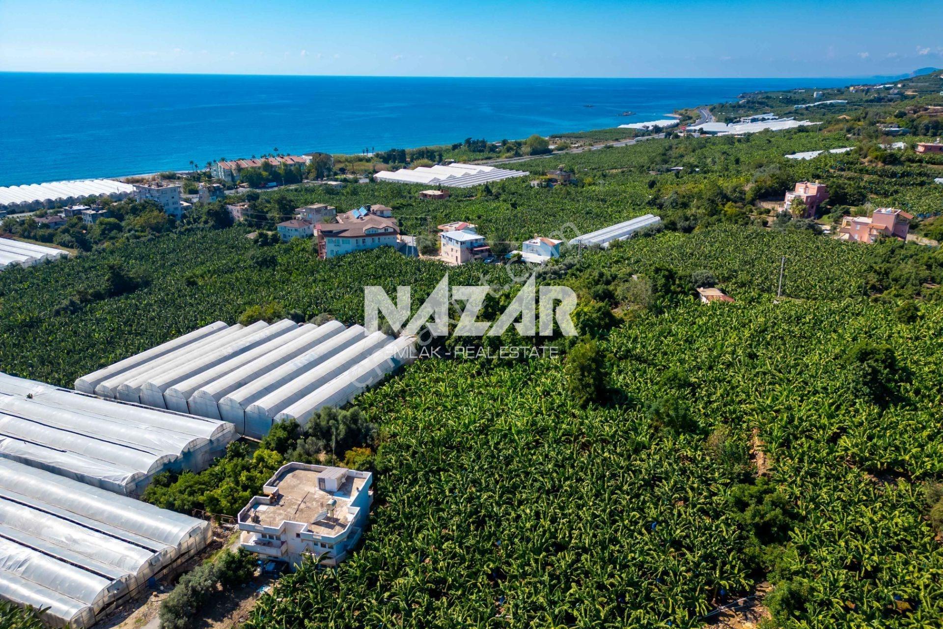 Alanya İshaklı’da 1.665 M2 Deniz Manzaralı Tarla — fotoğraf 10