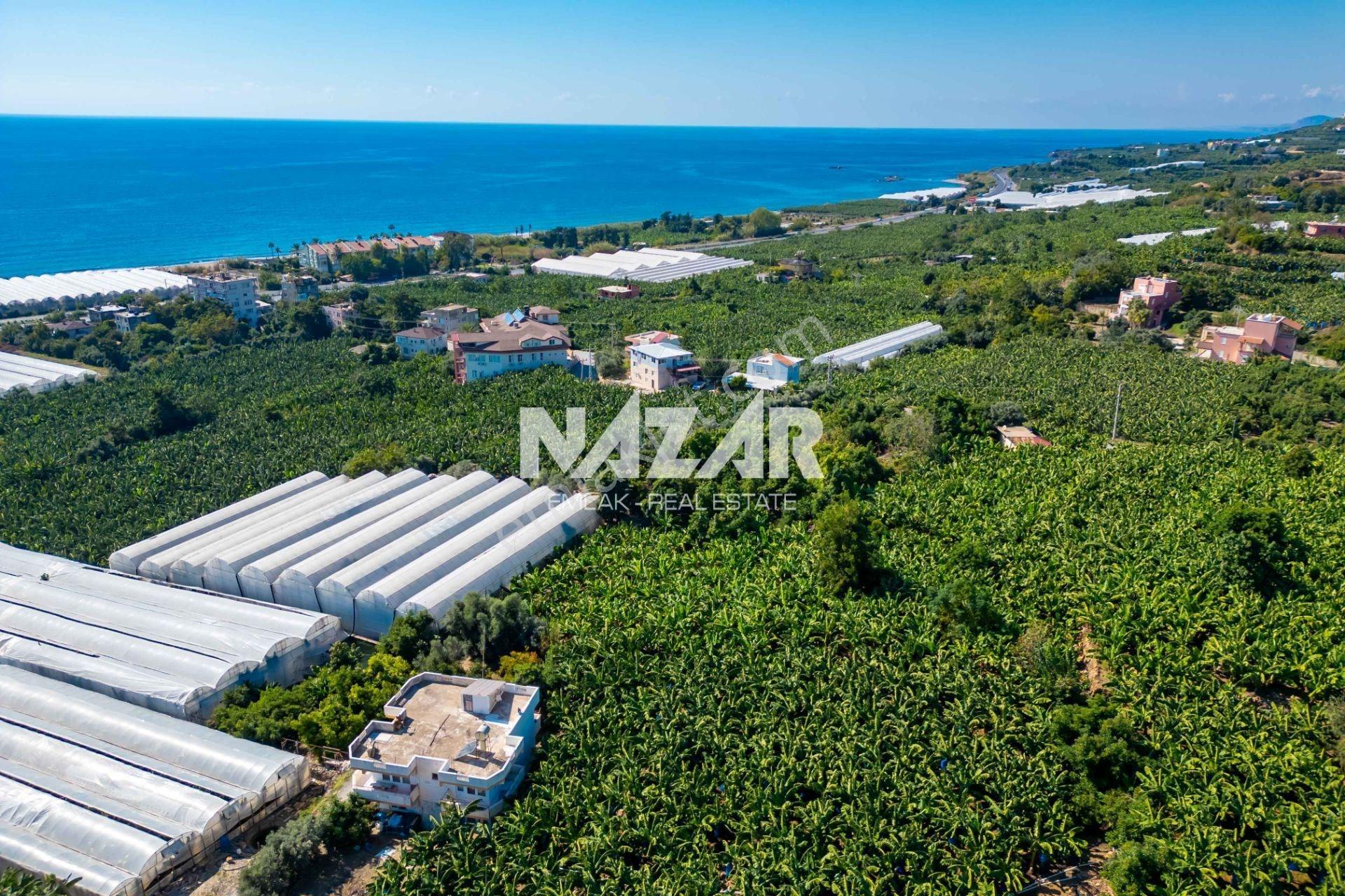 Alanya İshaklı’da 1.665 M2 Deniz Manzaralı Tarla — fotoğraf 11