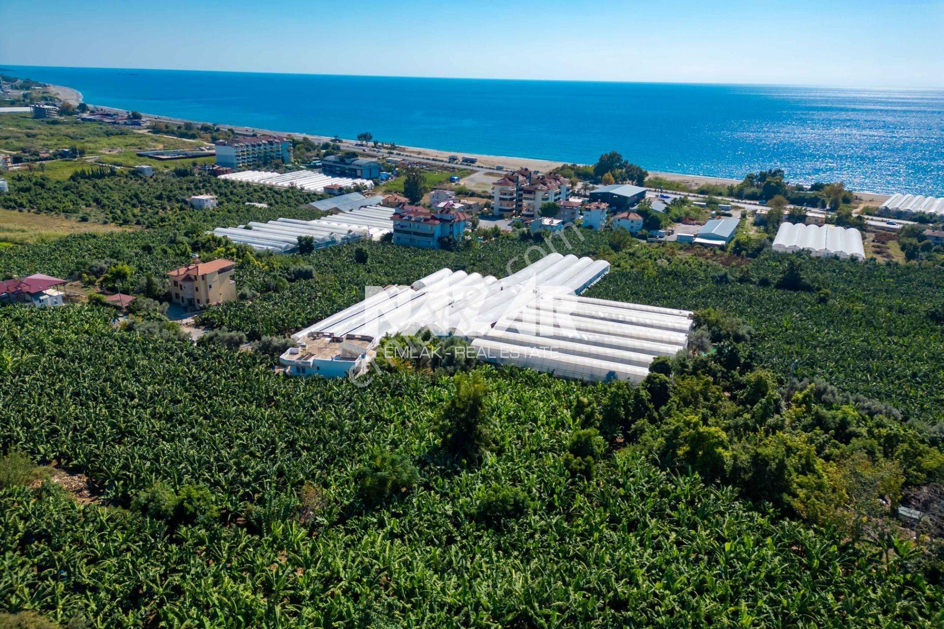 Alanya İshaklı’da 1.665 M2 Deniz Manzaralı Tarla — fotoğraf 12