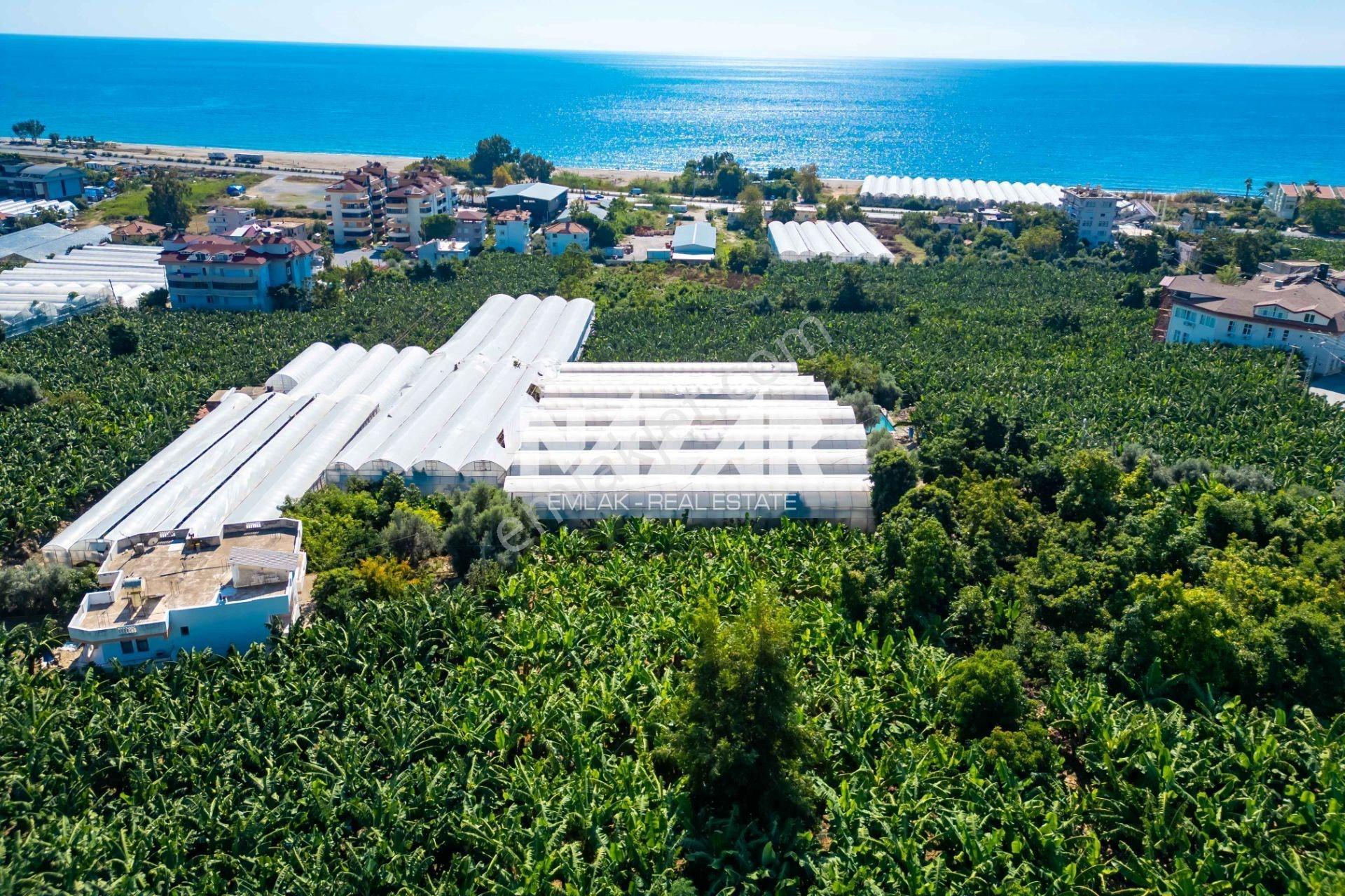 Alanya İshaklı’da 1.665 M2 Deniz Manzaralı Tarla — fotoğraf 13