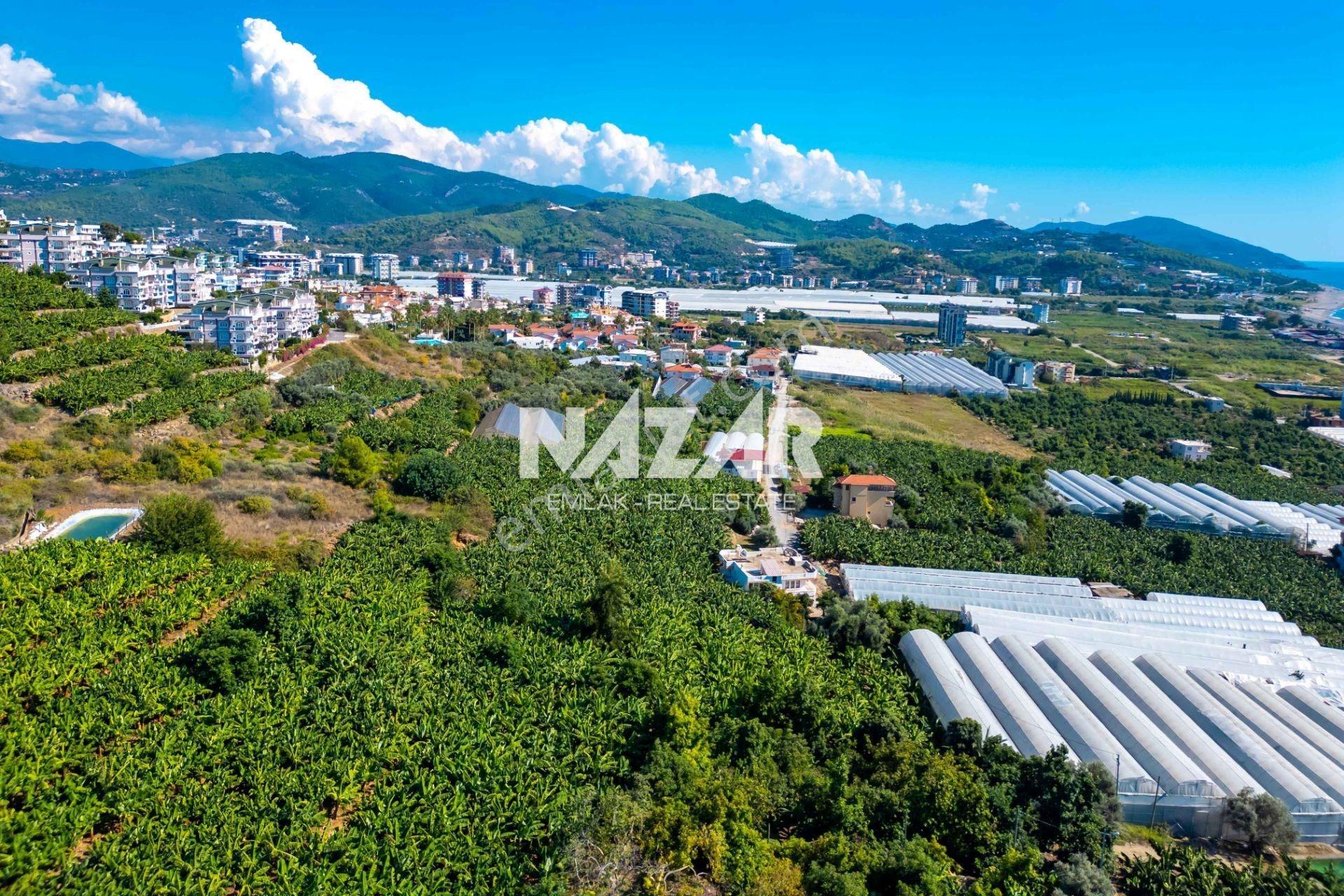Alanya İshaklı’da 1.665 M2 Deniz Manzaralı Tarla — fotoğraf 14