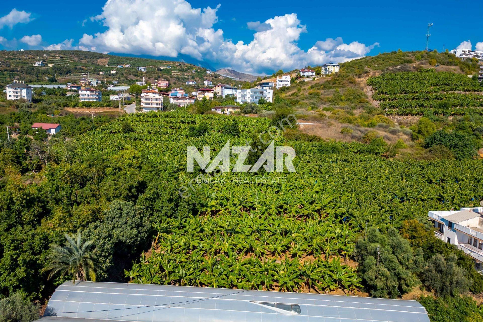 Alanya İshaklı’da 1.665 M2 Deniz Manzaralı Tarla — fotoğraf 15