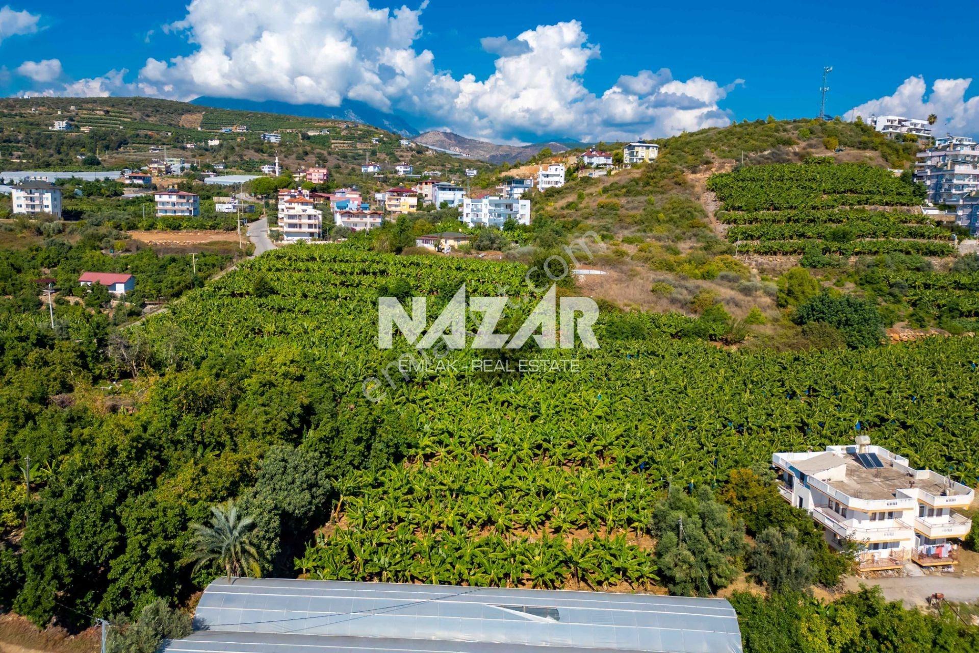 Alanya İshaklı’da 1.665 M2 Deniz Manzaralı Tarla — fotoğraf 16