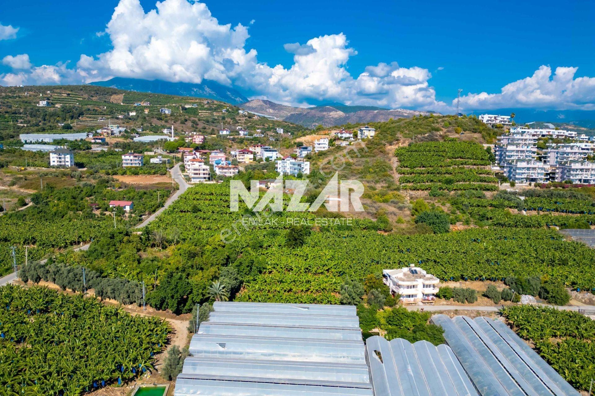 Alanya İshaklı’da 1.665 M2 Deniz Manzaralı Tarla — fotoğraf 17