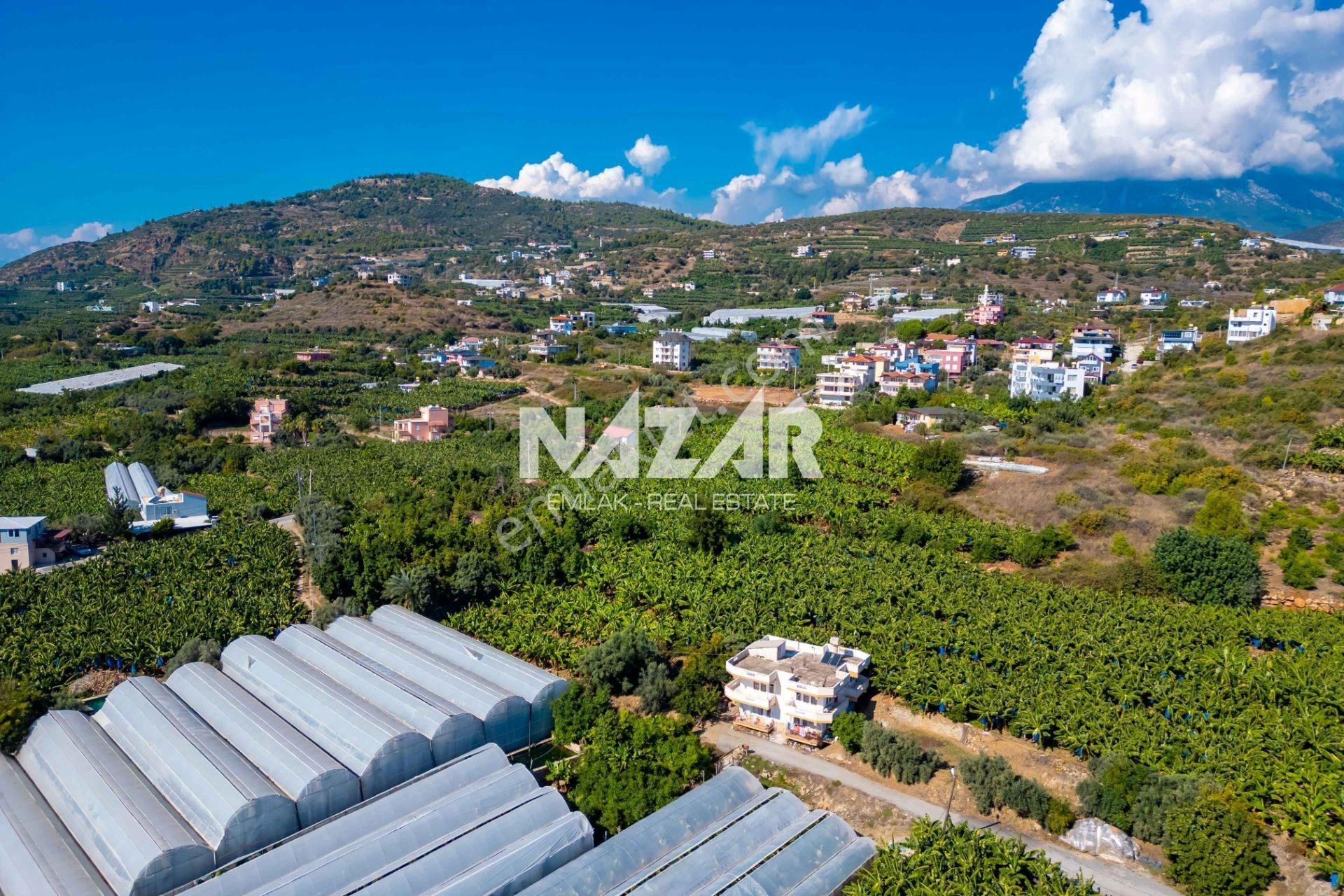 Alanya İshaklı’da 1.665 M2 Deniz Manzaralı Tarla — fotoğraf 18
