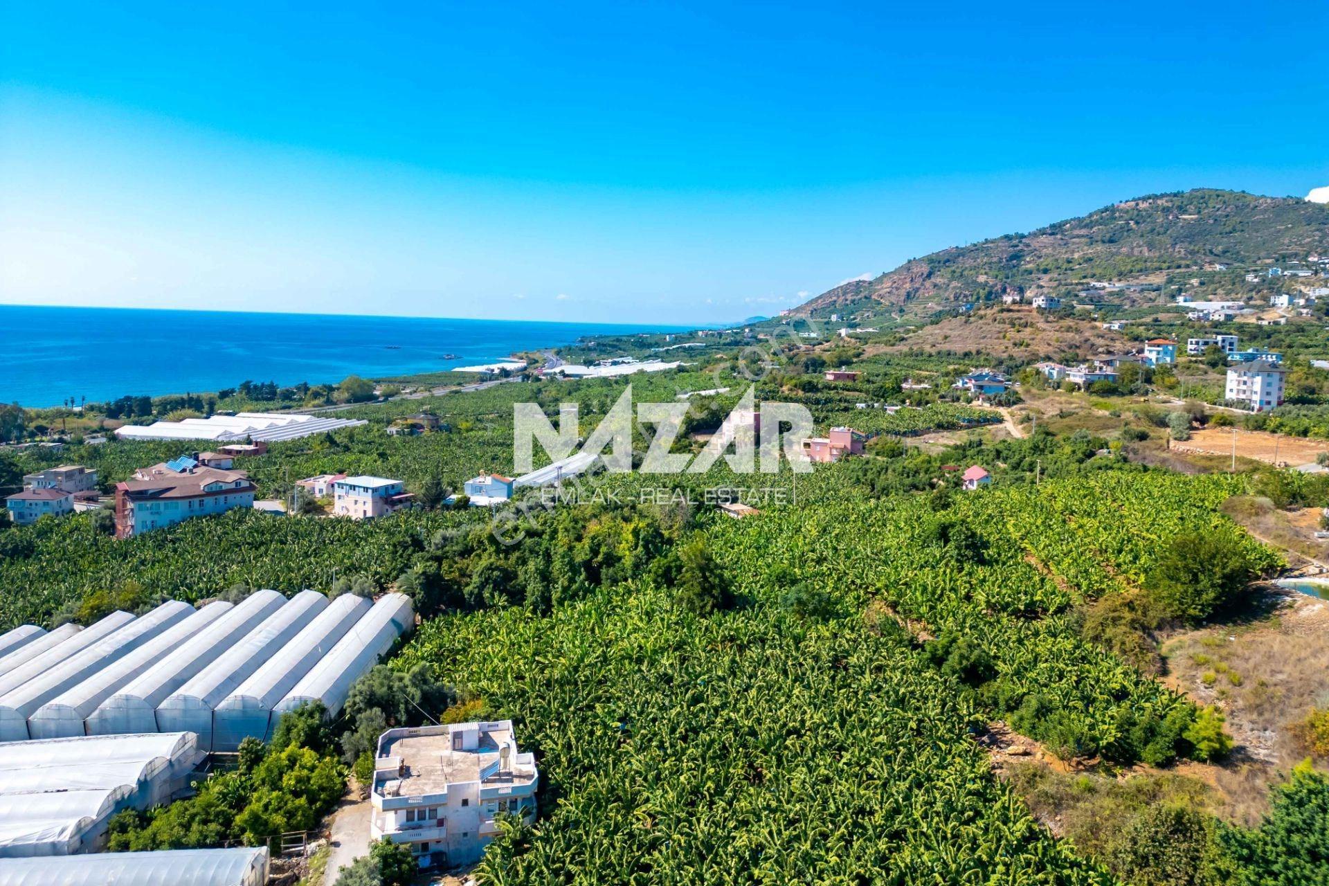 Alanya İshaklı’da 1.665 M2 Deniz Manzaralı Tarla — fotoğraf 19