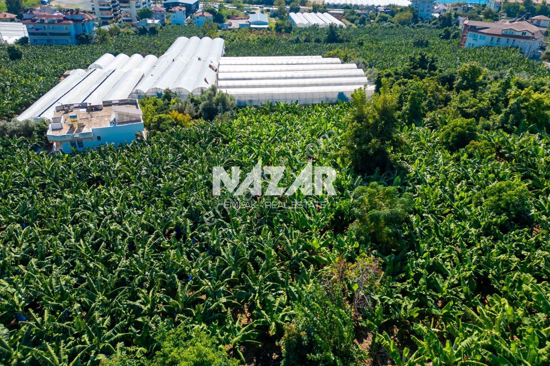Alanya İshaklı’da 1.665 M2 Deniz Manzaralı Tarla — fotoğraf 20