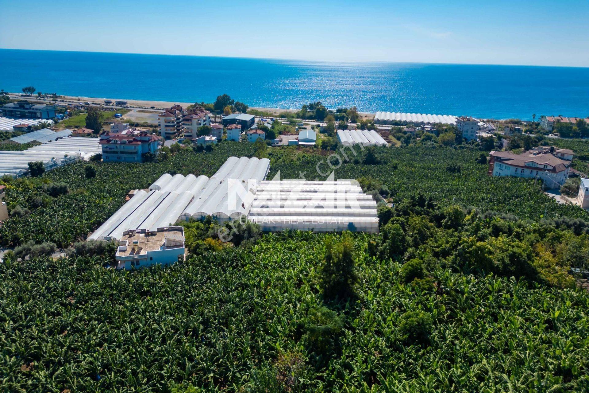 Alanya İshaklı’da 1.665 M2 Deniz Manzaralı Tarla — fotoğraf 21