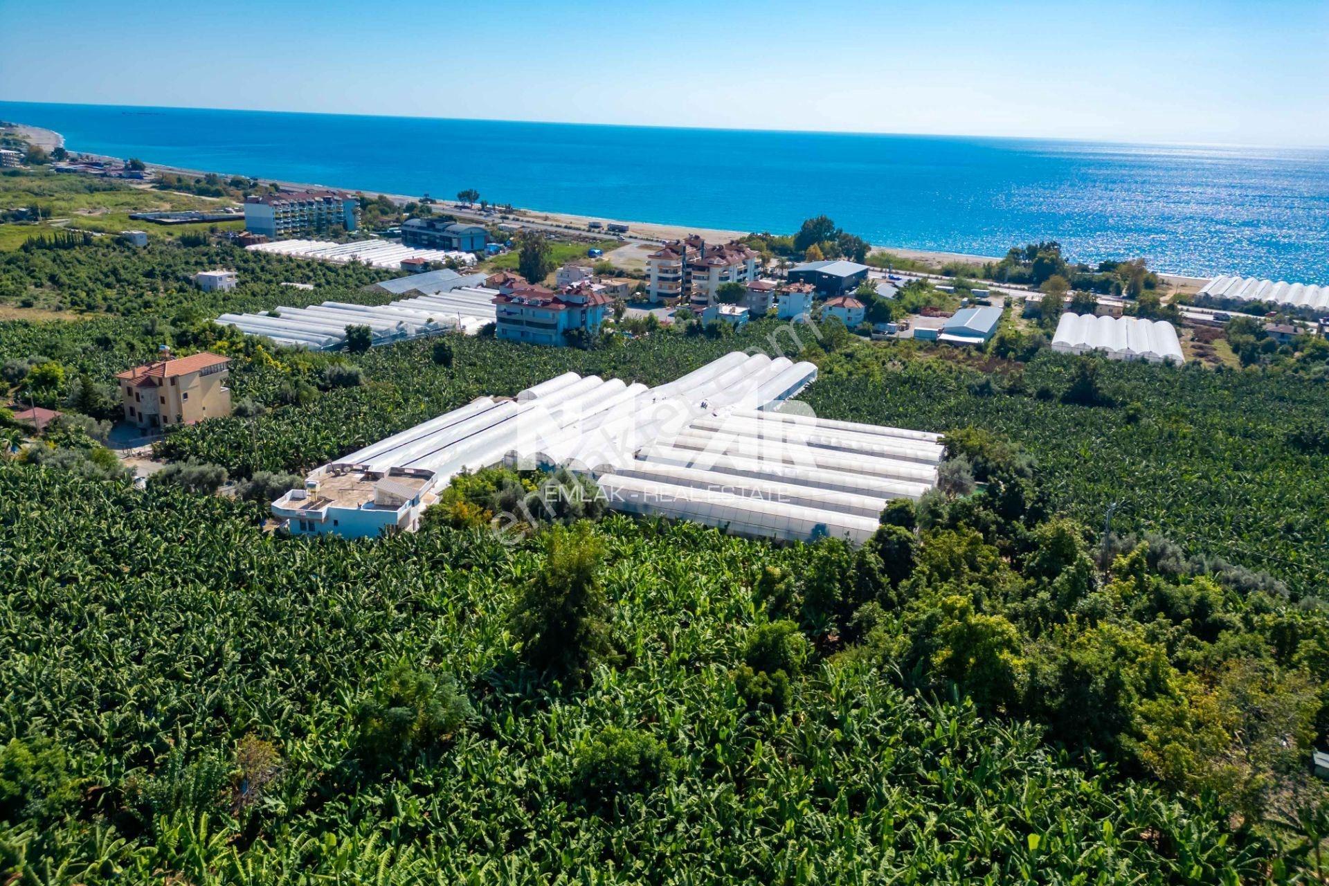 Alanya İshaklı’da 1.665 M2 Deniz Manzaralı Tarla — fotoğraf 22