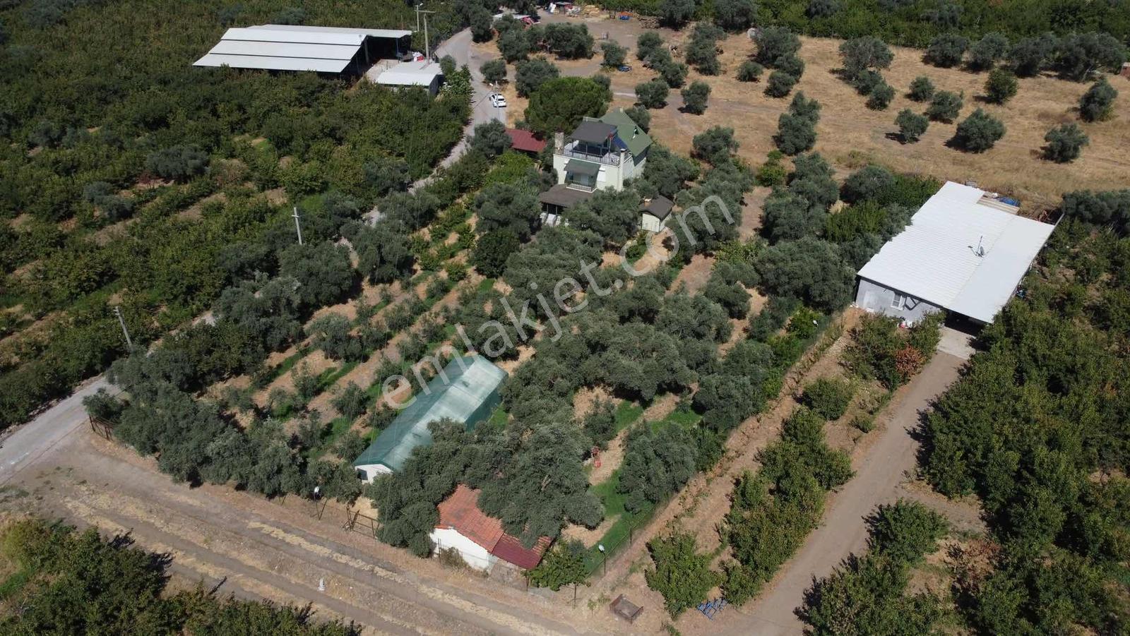 Kemalpaşa Yiğitler 3dönüm İçersinde 3katlı Ev+müştemilat — fotoğraf 3
