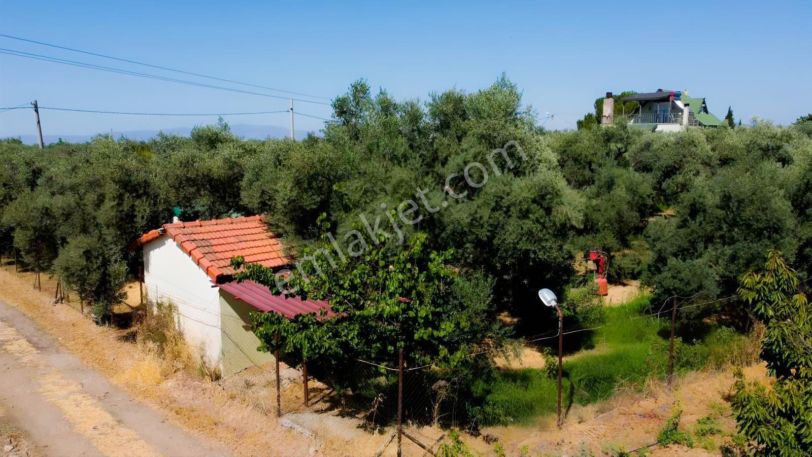 Kemalpaşa Yiğitler 3dönüm İçersinde 3katlı Ev+müştemilat — fotoğraf 9
